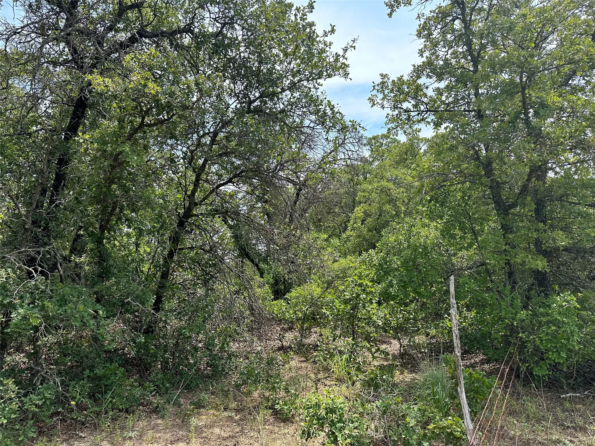 Unimproved Land For Sale in Eastland County , TBD Highway 206, Cisco, Texas 76437, 0, 0, Garage spaces, 0 Sqft, built in 0, Price $130,000, mls#21246887, Real Estate Agent in Cisco, Homes For Sale in Eastland county, Homes For Sale in Cisco, Realtor in Cisco Texas, Real Estate Brokerage Independent Realty Texas, Luminita Cordes Realtor
