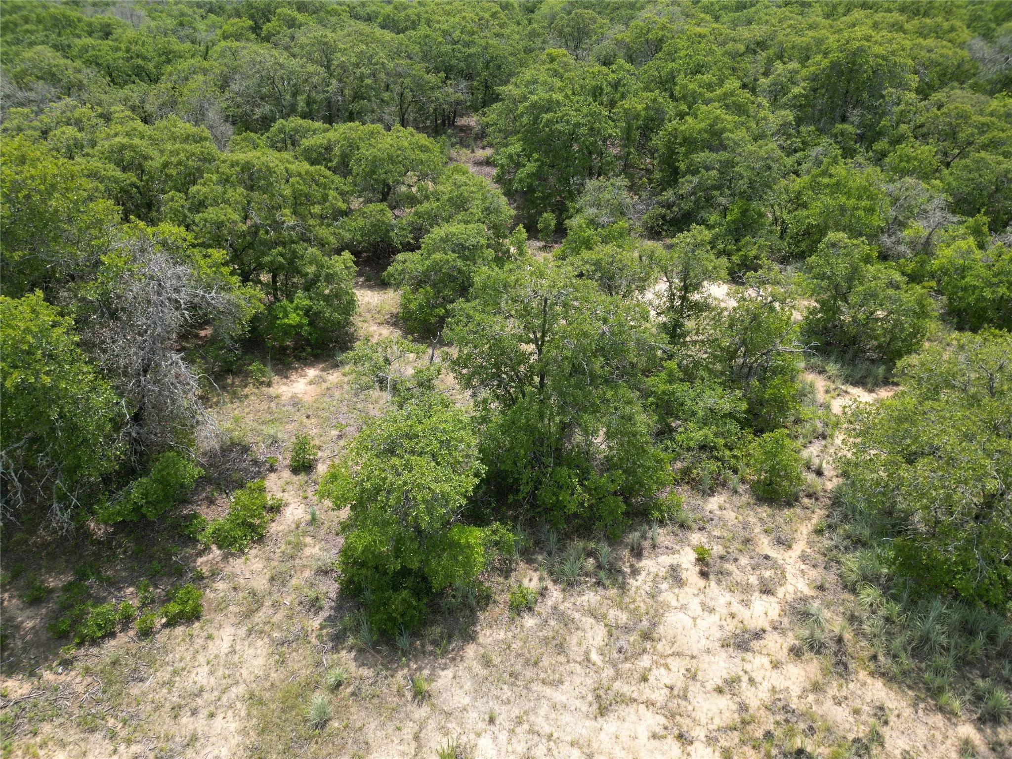 Unimproved Land For Sale in Eastland County , TBD Highway 206, Cisco, Texas 76437, 0, 0, Garage spaces, 0 Sqft, built in 0, Price $130,000, mls#21246887, Real Estate Agent in Cisco, Homes For Sale in Eastland county, Homes For Sale in Cisco, Realtor in Cisco Texas, Real Estate Brokerage Independent Realty Texas, Luminita Cordes Realtor