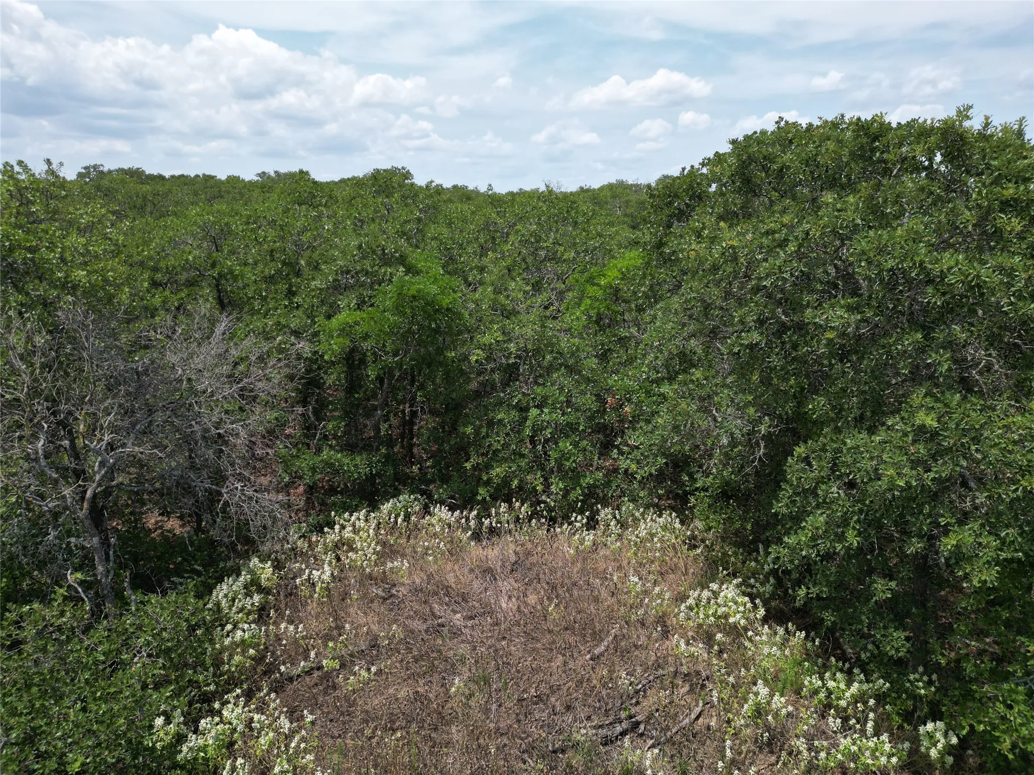 Unimproved Land For Sale in Eastland County , TBD Highway 206, Cisco, Texas 76437, 0, 0, Garage spaces, 0 Sqft, built in 0, Price $130,000, mls#21246887, Real Estate Agent in Cisco, Homes For Sale in Eastland county, Homes For Sale in Cisco, Realtor in Cisco Texas, Real Estate Brokerage Independent Realty Texas, Luminita Cordes Realtor