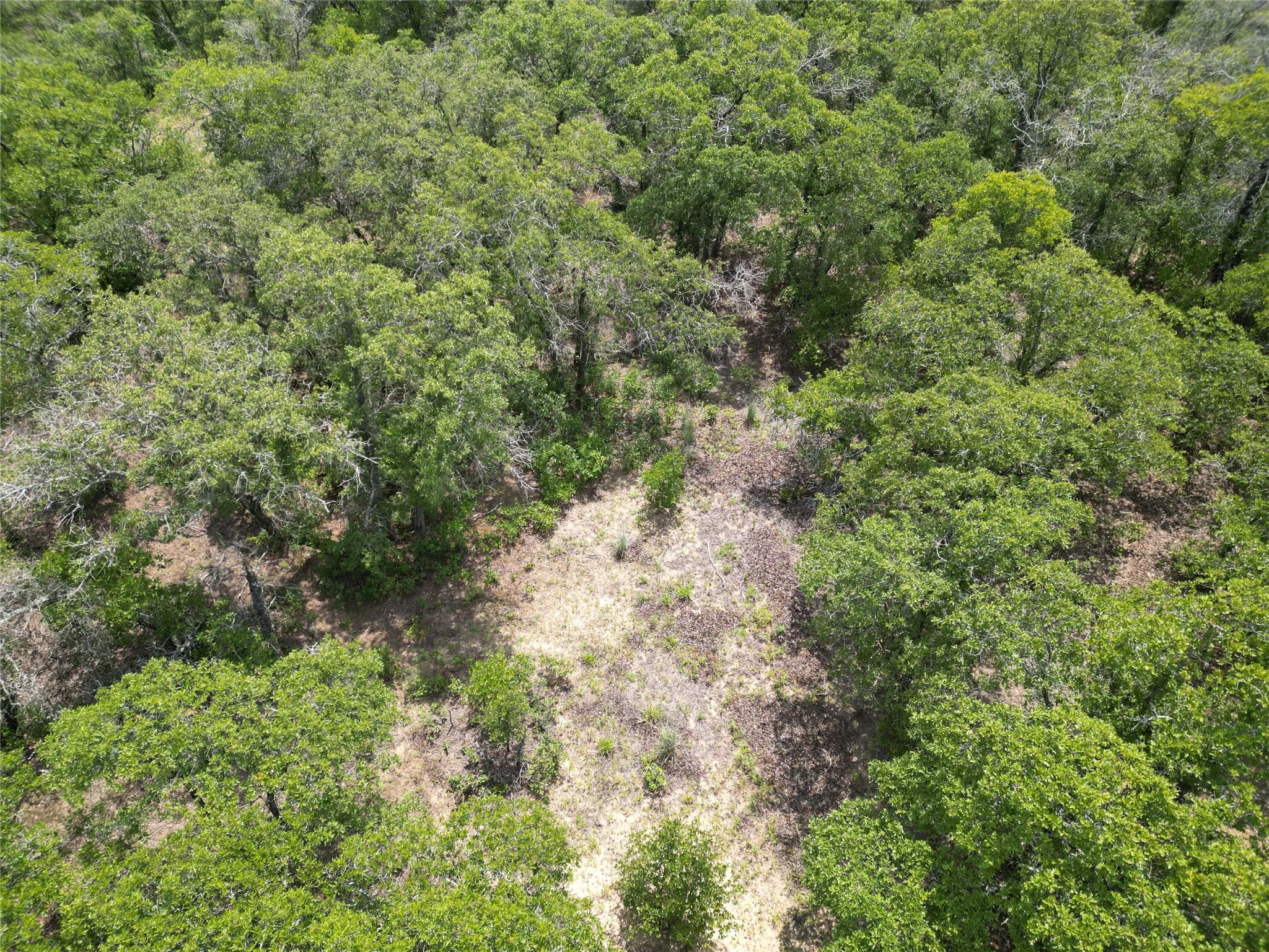 Unimproved Land For Sale in Eastland County , TBD Highway 206, Cisco, Texas 76437, 0, 0, Garage spaces, 0 Sqft, built in 0, Price $130,000, mls#21246887, Real Estate Agent in Cisco, Homes For Sale in Eastland county, Homes For Sale in Cisco, Realtor in Cisco Texas, Real Estate Brokerage Independent Realty Texas, Luminita Cordes Realtor