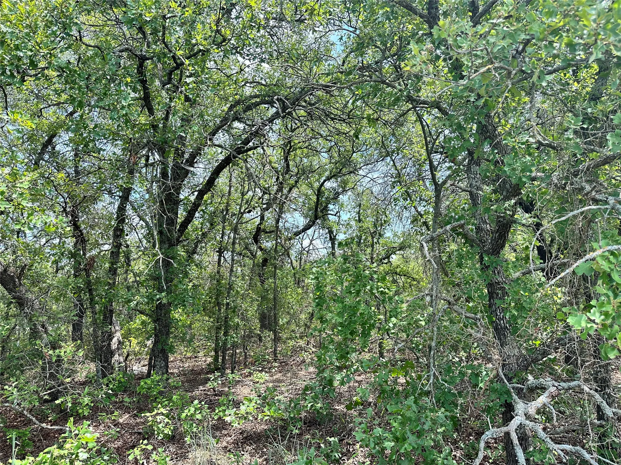 Unimproved Land For Sale in Eastland County , TBD Highway 206, Cisco, Texas 76437, 0, 0, Garage spaces, 0 Sqft, built in 0, Price $130,000, mls#21246887, Real Estate Agent in Cisco, Homes For Sale in Eastland county, Homes For Sale in Cisco, Realtor in Cisco Texas, Real Estate Brokerage Independent Realty Texas, Luminita Cordes Realtor