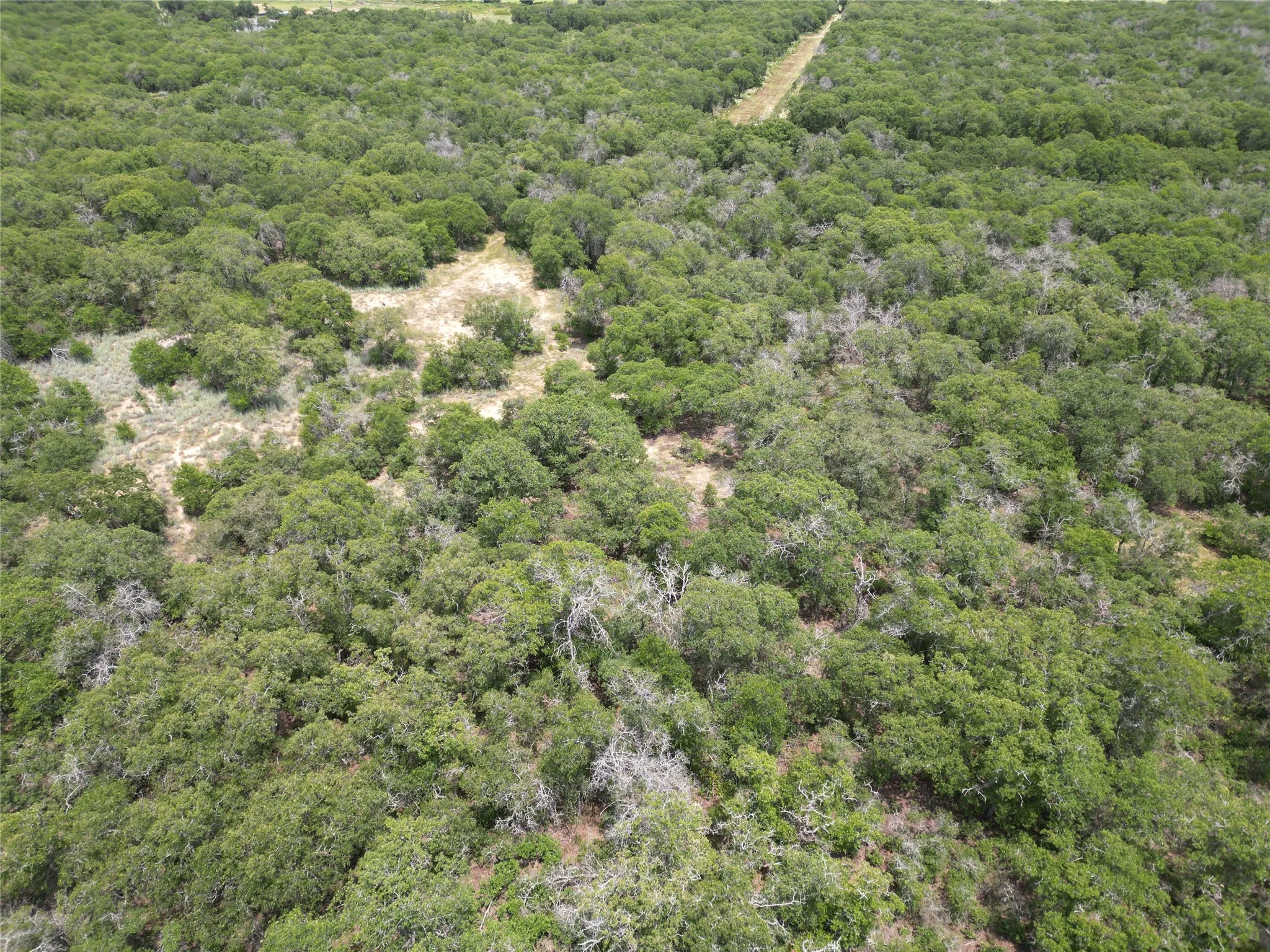 Unimproved Land For Sale in Eastland County , TBD Highway 206, Cisco, Texas 76437, 0, 0, Garage spaces, 0 Sqft, built in 0, Price $130,000, mls#21246887, Real Estate Agent in Cisco, Homes For Sale in Eastland county, Homes For Sale in Cisco, Realtor in Cisco Texas, Real Estate Brokerage Independent Realty Texas, Luminita Cordes Realtor