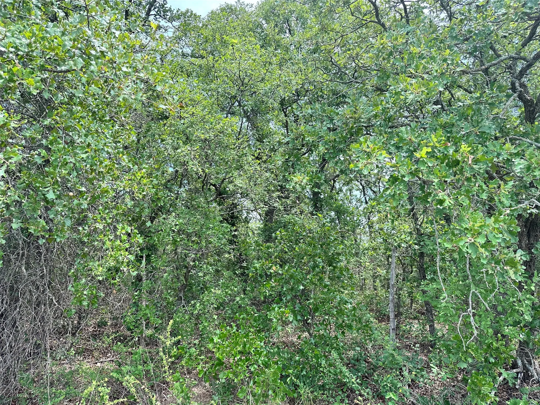 Unimproved Land For Sale in Eastland County , TBD Highway 206, Cisco, Texas 76437, 0, 0, Garage spaces, 0 Sqft, built in 0, Price $130,000, mls#21246887, Real Estate Agent in Cisco, Homes For Sale in Eastland county, Homes For Sale in Cisco, Realtor in Cisco Texas, Real Estate Brokerage Independent Realty Texas, Luminita Cordes Realtor