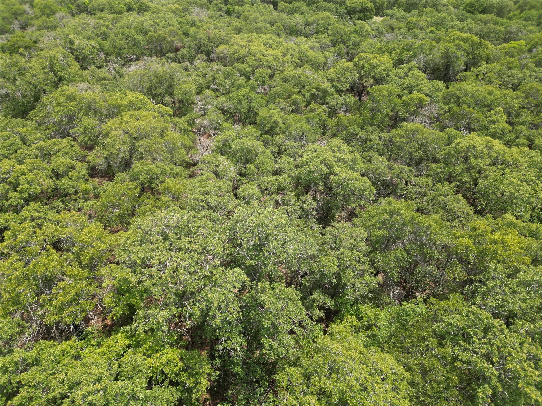 Unimproved Land For Sale in Eastland County , TBD Highway 206, Cisco, Texas 76437, 0, 0, Garage spaces, 0 Sqft, built in 0, Price $130,000, mls#21246887, Real Estate Agent in Cisco, Homes For Sale in Eastland county, Homes For Sale in Cisco, Realtor in Cisco Texas, Real Estate Brokerage Independent Realty Texas, Luminita Cordes Realtor