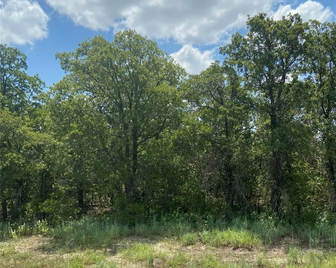 Unimproved Land For Sale in Eastland County , TBD Highway 206, Cisco, Texas 76437, 0, 0, Garage spaces, 0 Sqft, built in 0, Price $130,000, mls#21246887, Real Estate Agent in Cisco, Homes For Sale in Eastland county, Homes For Sale in Cisco, Realtor in Cisco Texas, Real Estate Brokerage Independent Realty Texas, Luminita Cordes Realtor
