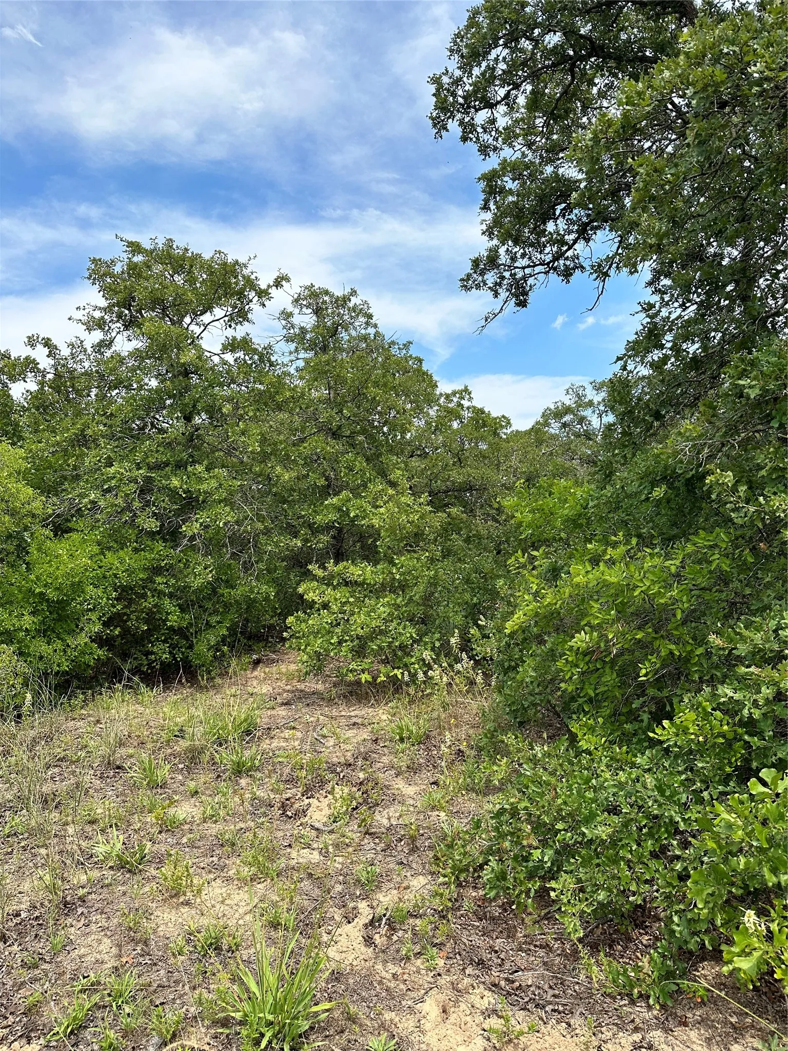 Unimproved Land For Sale in Eastland County , TBD Highway 206, Cisco, Texas 76437, 0, 0, Garage spaces, 0 Sqft, built in 0, Price $130,000, mls#21246887, Real Estate Agent in Cisco, Homes For Sale in Eastland county, Homes For Sale in Cisco, Realtor in Cisco Texas, Real Estate Brokerage Independent Realty Texas, Luminita Cordes Realtor