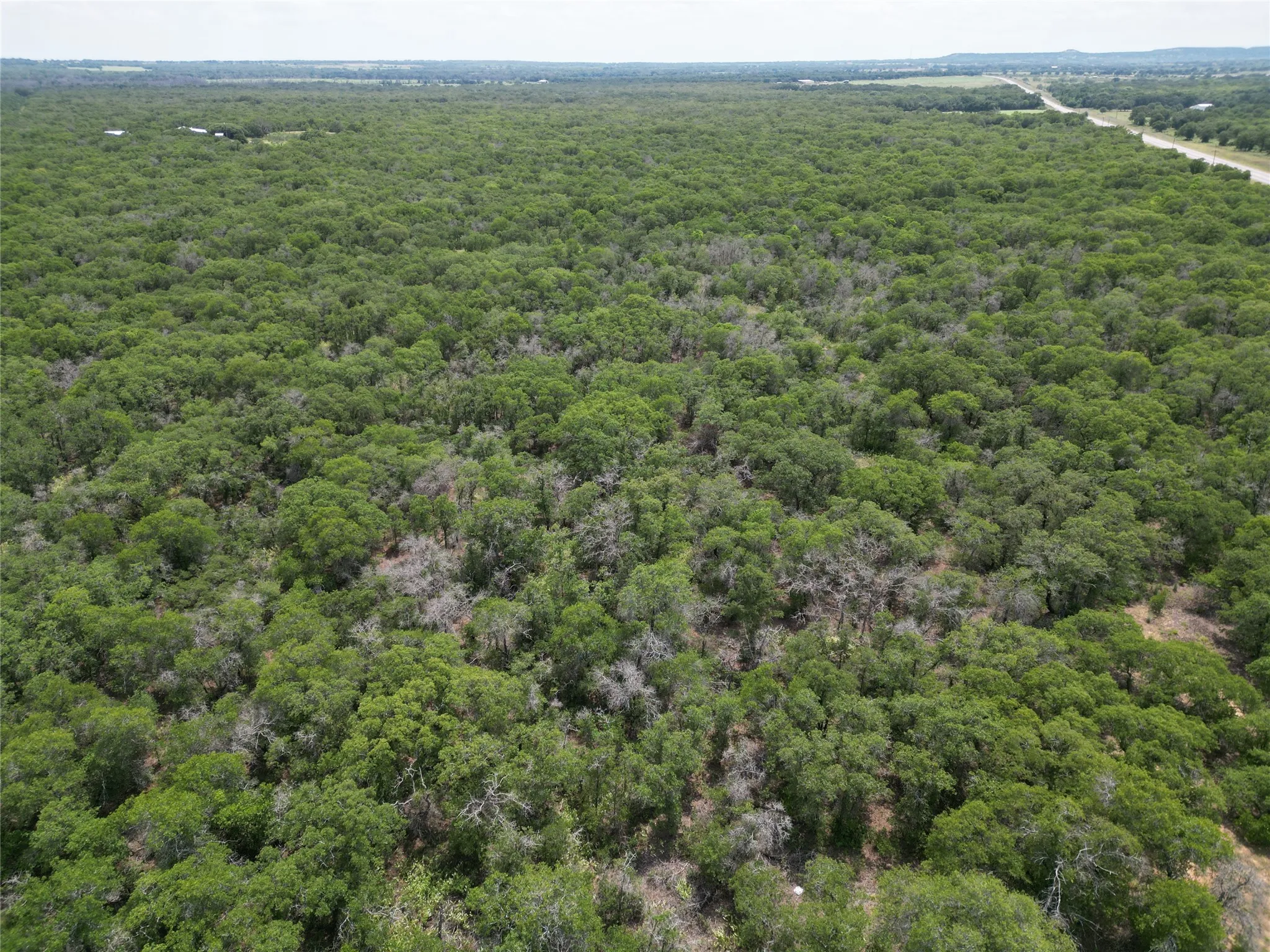 Unimproved Land For Sale in Eastland County , TBD Highway 206, Cisco, Texas 76437, 0, 0, Garage spaces, 0 Sqft, built in 0, Price $130,000, mls#21246887, Real Estate Agent in Cisco, Homes For Sale in Eastland county, Homes For Sale in Cisco, Realtor in Cisco Texas, Real Estate Brokerage Independent Realty Texas, Luminita Cordes Realtor