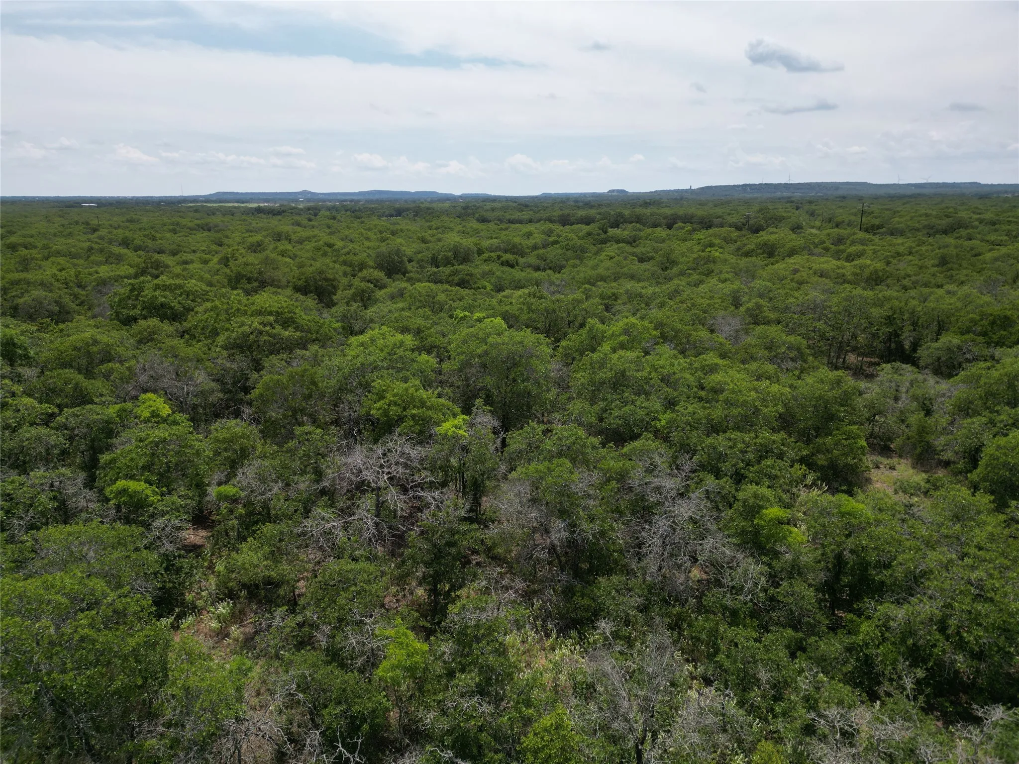 Unimproved Land For Sale in Eastland County , TBD Highway 206, Cisco, Texas 76437, 0, 0, Garage spaces, 0 Sqft, built in 0, Price $130,000, mls#21246887, Real Estate Agent in Cisco, Homes For Sale in Eastland county, Homes For Sale in Cisco, Realtor in Cisco Texas, Real Estate Brokerage Independent Realty Texas, Luminita Cordes Realtor