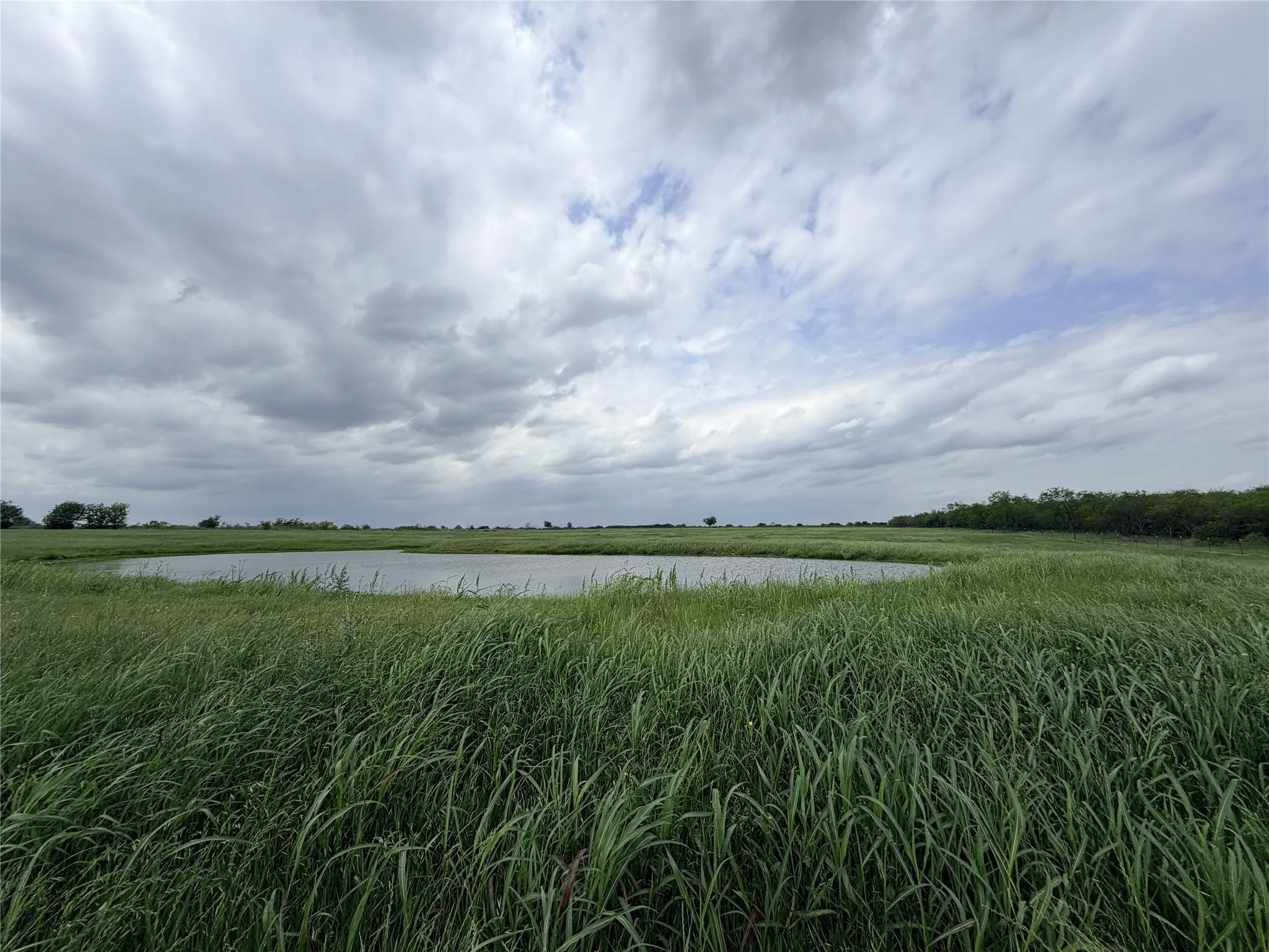 Improved Land For Sale in Ellis County , 192 Fm 1183, Alma, Texas 75119, 0, 0, Garage spaces, 0 Sqft, built in 2022, Price $525,000, mls#21250880, Real Estate Agent in Alma, Homes For Sale in Ellis county, Homes For Sale in Alma, Realtor in Alma Texas, Real Estate Brokerage Independent Realty Texas, Luminita Cordes Realtor
