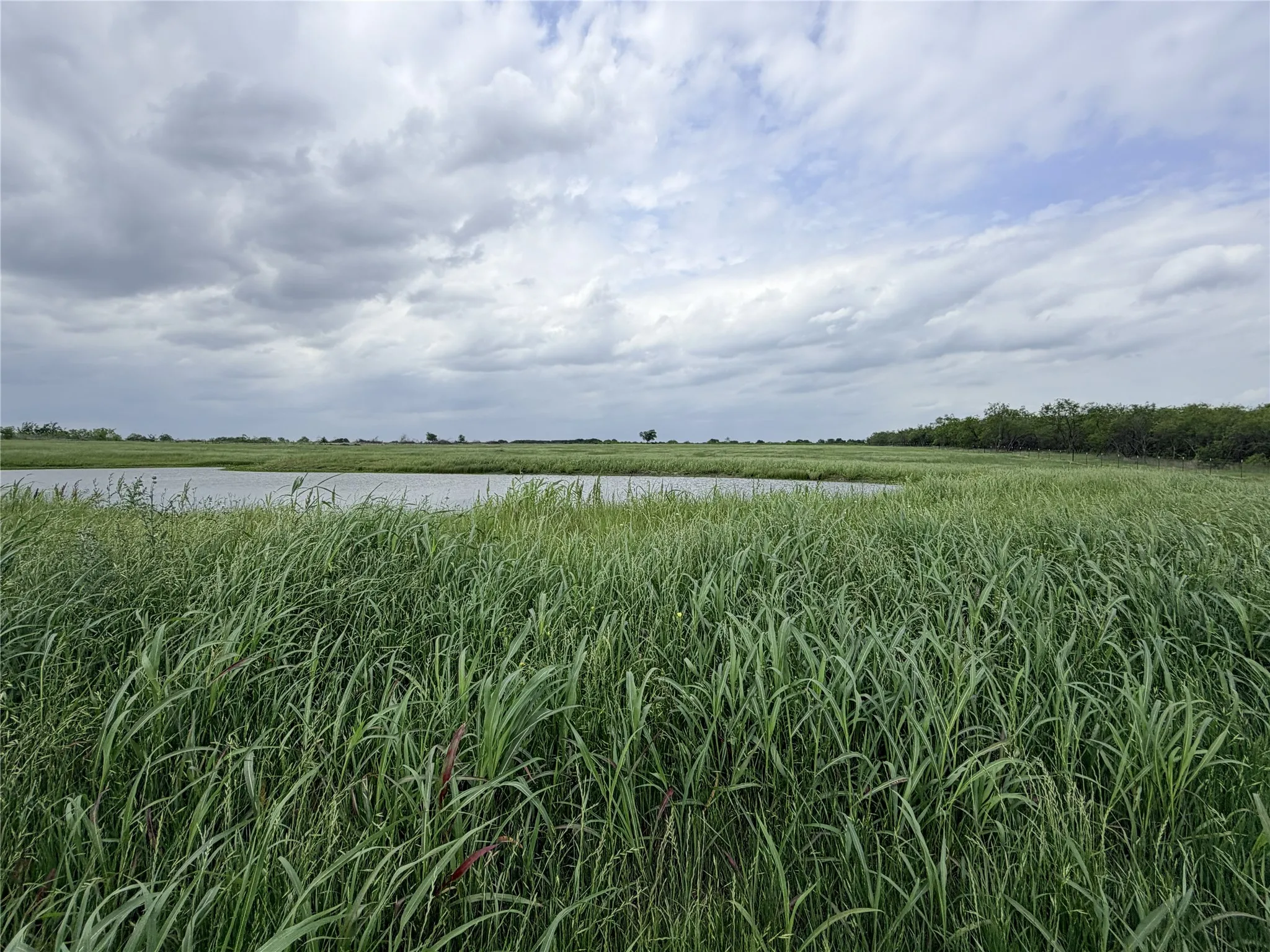 Improved Land For Sale in Ellis County , 192 Fm 1183, Alma, Texas 75119, 0, 0, Garage spaces, 0 Sqft, built in 2022, Price $525,000, mls#21250880, Real Estate Agent in Alma, Homes For Sale in Ellis county, Homes For Sale in Alma, Realtor in Alma Texas, Real Estate Brokerage Independent Realty Texas, Luminita Cordes Realtor