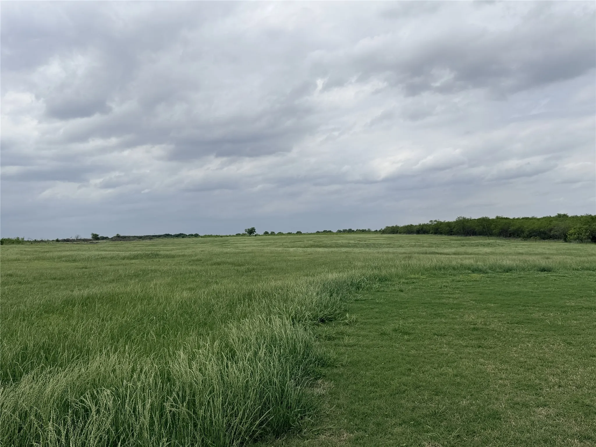 Improved Land For Sale in Ellis County , 192 Fm 1183, Alma, Texas 75119, 0, 0, Garage spaces, 0 Sqft, built in 2022, Price $525,000, mls#21250880, Real Estate Agent in Alma, Homes For Sale in Ellis county, Homes For Sale in Alma, Realtor in Alma Texas, Real Estate Brokerage Independent Realty Texas, Luminita Cordes Realtor
