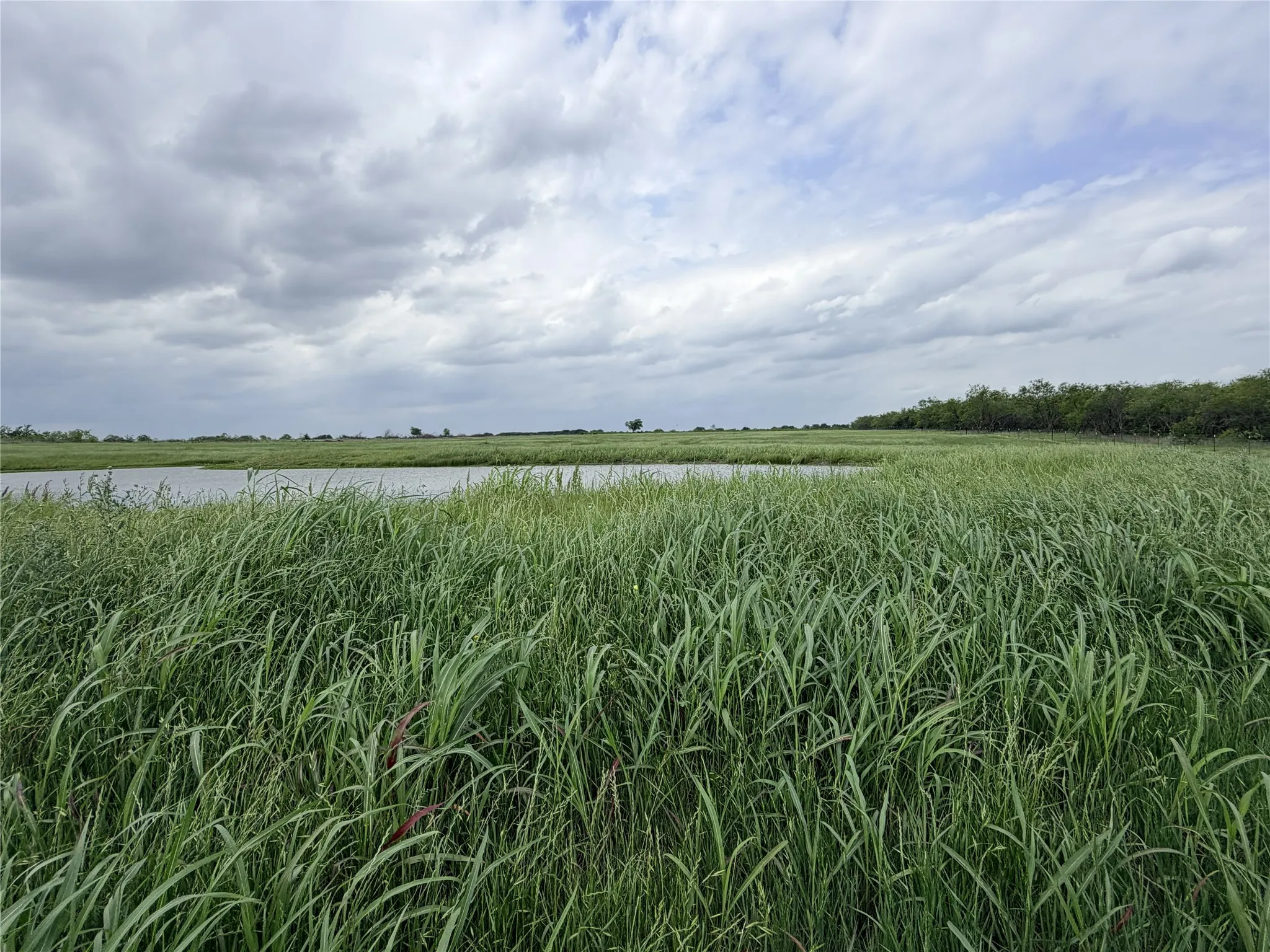 Improved Land For Sale in Ellis County , 192 Fm 1183, Alma, Texas 75119, 0, 0, Garage spaces, 0 Sqft, built in 2022, Price $525,000, mls#21250880, Real Estate Agent in Alma, Homes For Sale in Ellis county, Homes For Sale in Alma, Realtor in Alma Texas, Real Estate Brokerage Independent Realty Texas, Luminita Cordes Realtor