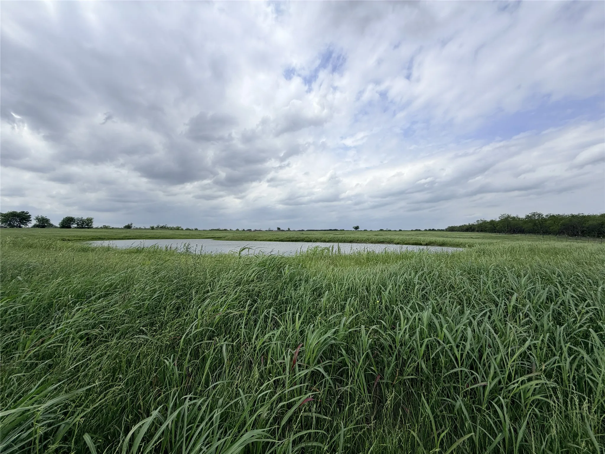 Improved Land For Sale in Ellis County , 192 Fm 1183, Alma, Texas 75119, 0, 0, Garage spaces, 0 Sqft, built in 2022, Price $525,000, mls#21250880, Real Estate Agent in Alma, Homes For Sale in Ellis county, Homes For Sale in Alma, Realtor in Alma Texas, Real Estate Brokerage Independent Realty Texas, Luminita Cordes Realtor