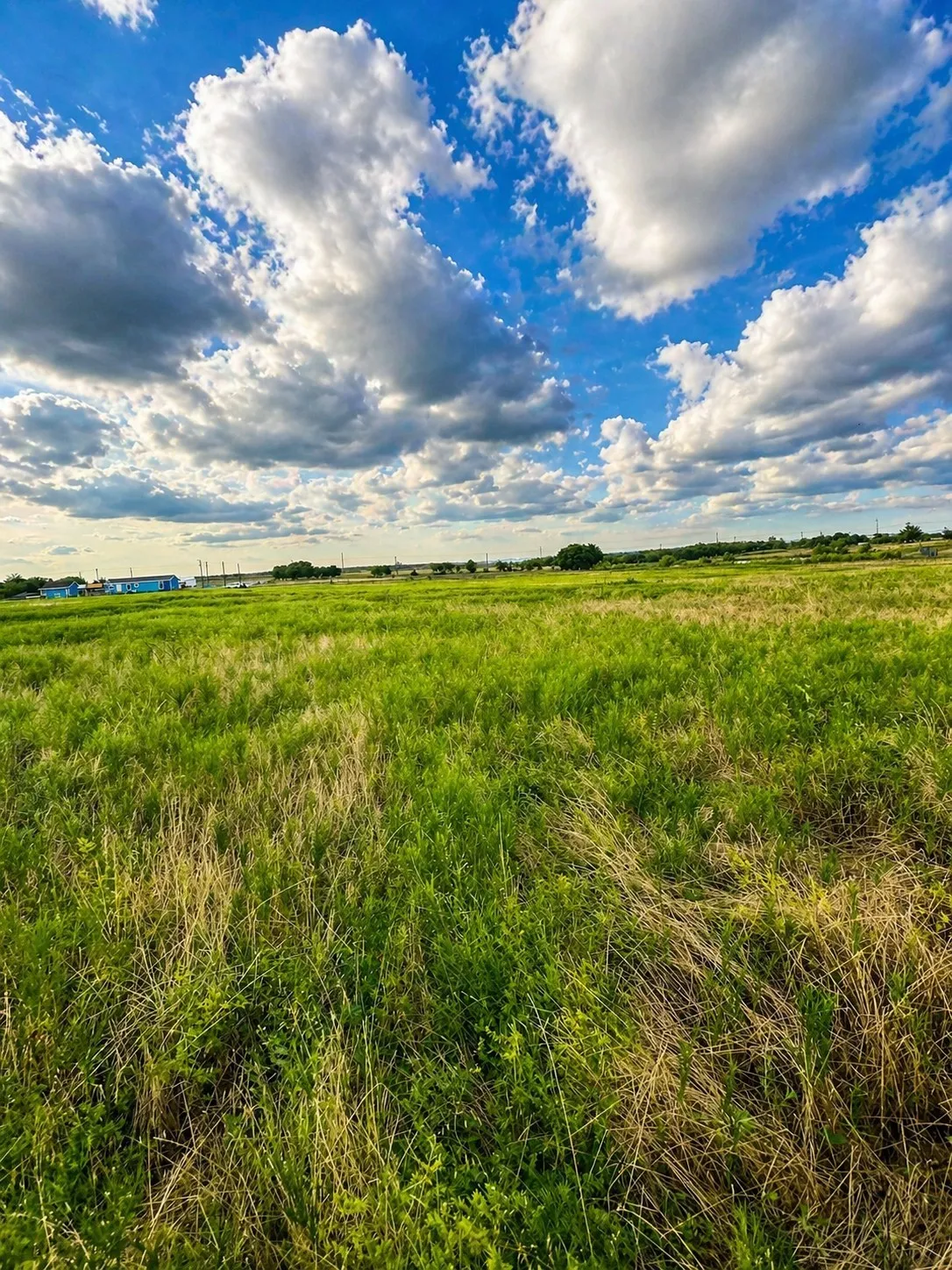 Unimproved Land For Sale in Grayson County , Lot 15 Old Sandborn Ranch Road, Whitesboro, Texas 76268, 0, 0, Garage spaces, 0 Sqft, built in 0, Price $189,900, mls#21250998, Real Estate Agent in Whitesboro, Homes For Sale in Grayson county, Homes For Sale in Whitesboro, Realtor in Whitesboro Texas, Real Estate Brokerage Independent Realty Texas, Luminita Cordes Realtor