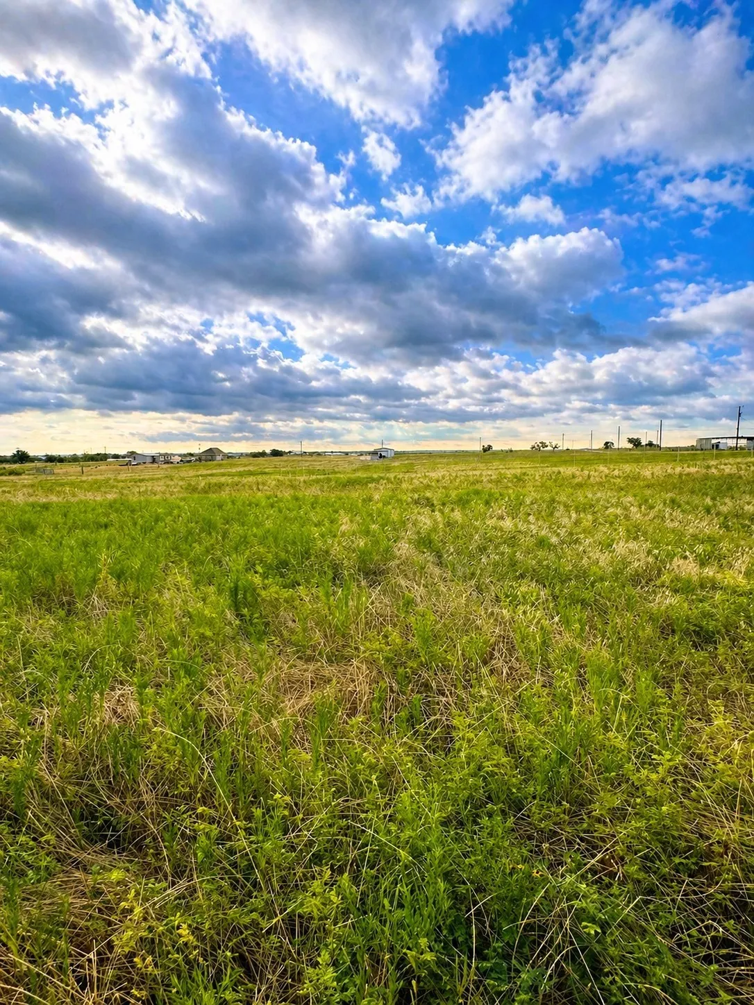 Unimproved Land For Sale in Grayson County , Lot 15 Old Sandborn Ranch Road, Whitesboro, Texas 76268, 0, 0, Garage spaces, 0 Sqft, built in 0, Price $189,900, mls#21250998, Real Estate Agent in Whitesboro, Homes For Sale in Grayson county, Homes For Sale in Whitesboro, Realtor in Whitesboro Texas, Real Estate Brokerage Independent Realty Texas, Luminita Cordes Realtor