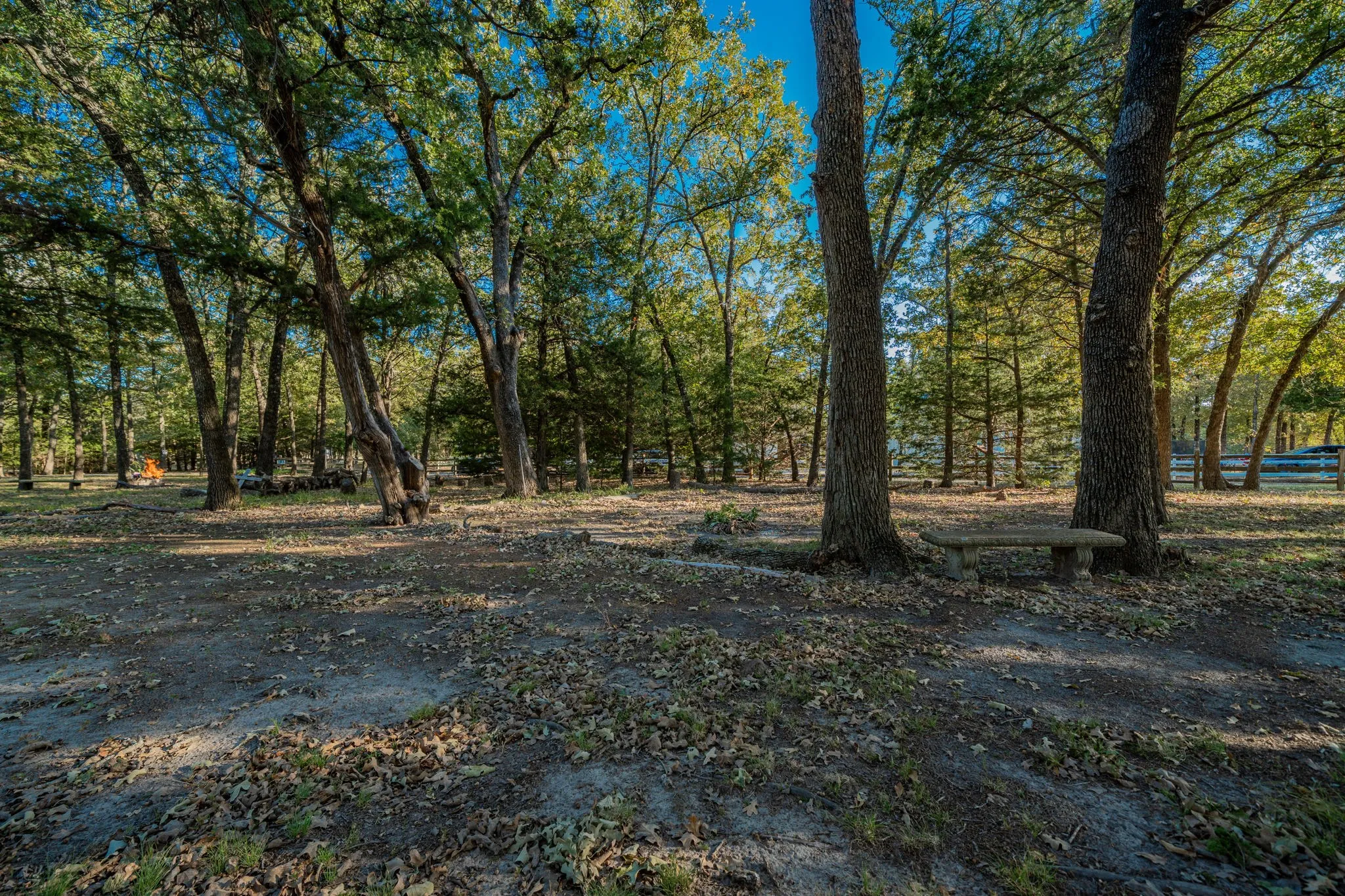 Wooded property featuring mature trees, a stone bench, and natural ground cover