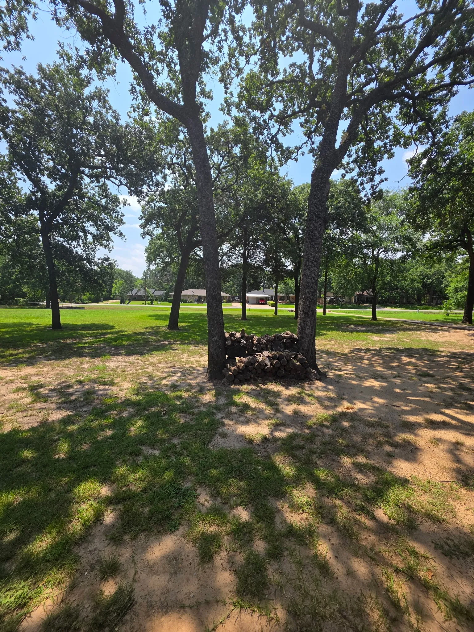Single Family Residence For Sale in Dallas County , 313 Shadywood Lane, Seagoville, Texas 75159, 4 Bedroom, 2 Bathroom, 3 Garage spaces, 2,448 Sqft, built in 1968, mls#21247225, Real Estate Agent in Seagoville, Homes For Sale in Dallas county, Homes For Sale in Seagoville, Realtor in Seagoville Texas, Real Estate Brokerage Independent Realty Texas, Luminita Cordes Realtor