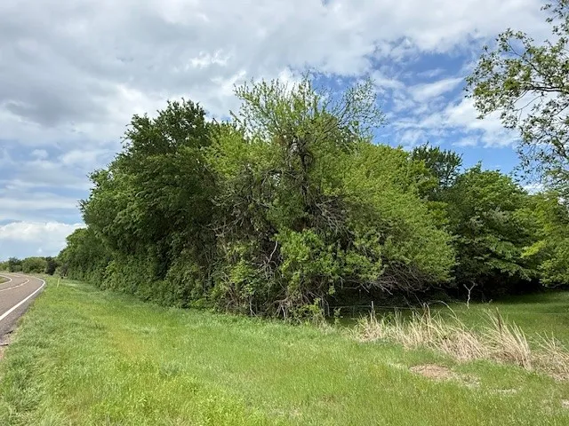 Fence Line