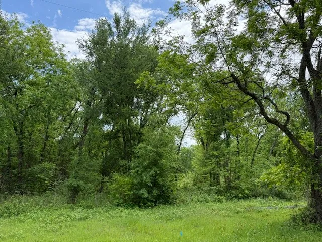 Unimproved Land For Sale in Navarro County , 0000 NW CR 4071, Frost, Texas 76641, 0, 0, Garage spaces, 0 Sqft, built in 0, mls#21251088, Real Estate Agent in Frost, Homes For Sale in Navarro county, Homes For Sale in Frost, Realtor in Frost Texas, Real Estate Brokerage Independent Realty Texas, Luminita Cordes Realtor