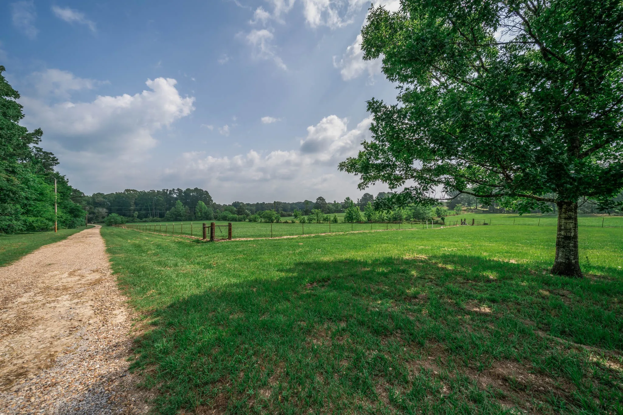 Driveway and pasture