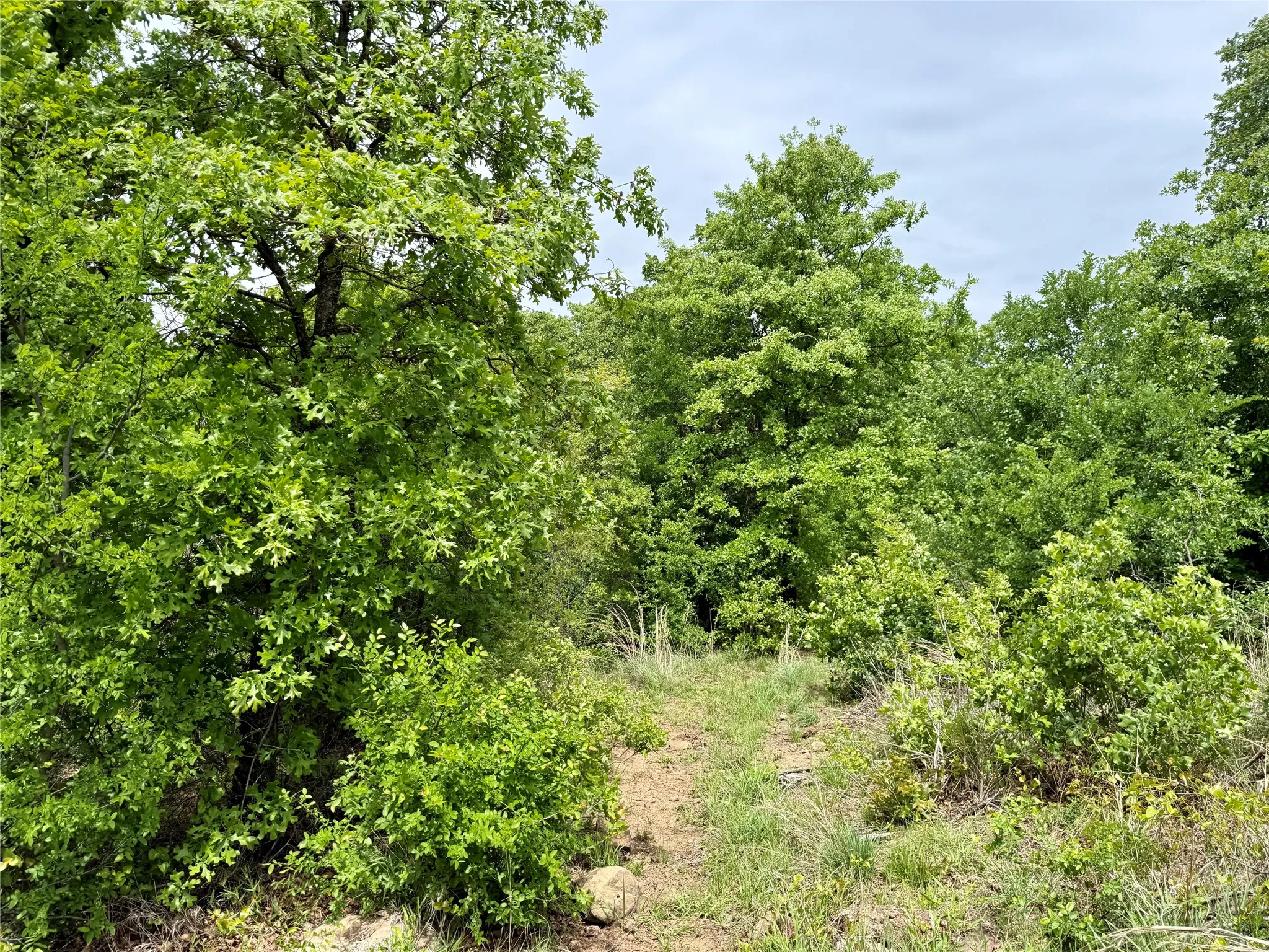 Unimproved Land For Sale in Jack County , 214.68 acres E Truce Road, Bowie, Texas 76431, 0, 0, Garage spaces, 0 Sqft, built in 0, Price $1,600,000, mls#21250972, Real Estate Agent in Bowie, Homes For Sale in Jack county, Homes For Sale in Bowie, Realtor in Bowie Texas, Real Estate Brokerage Independent Realty Texas, Luminita Cordes Realtor