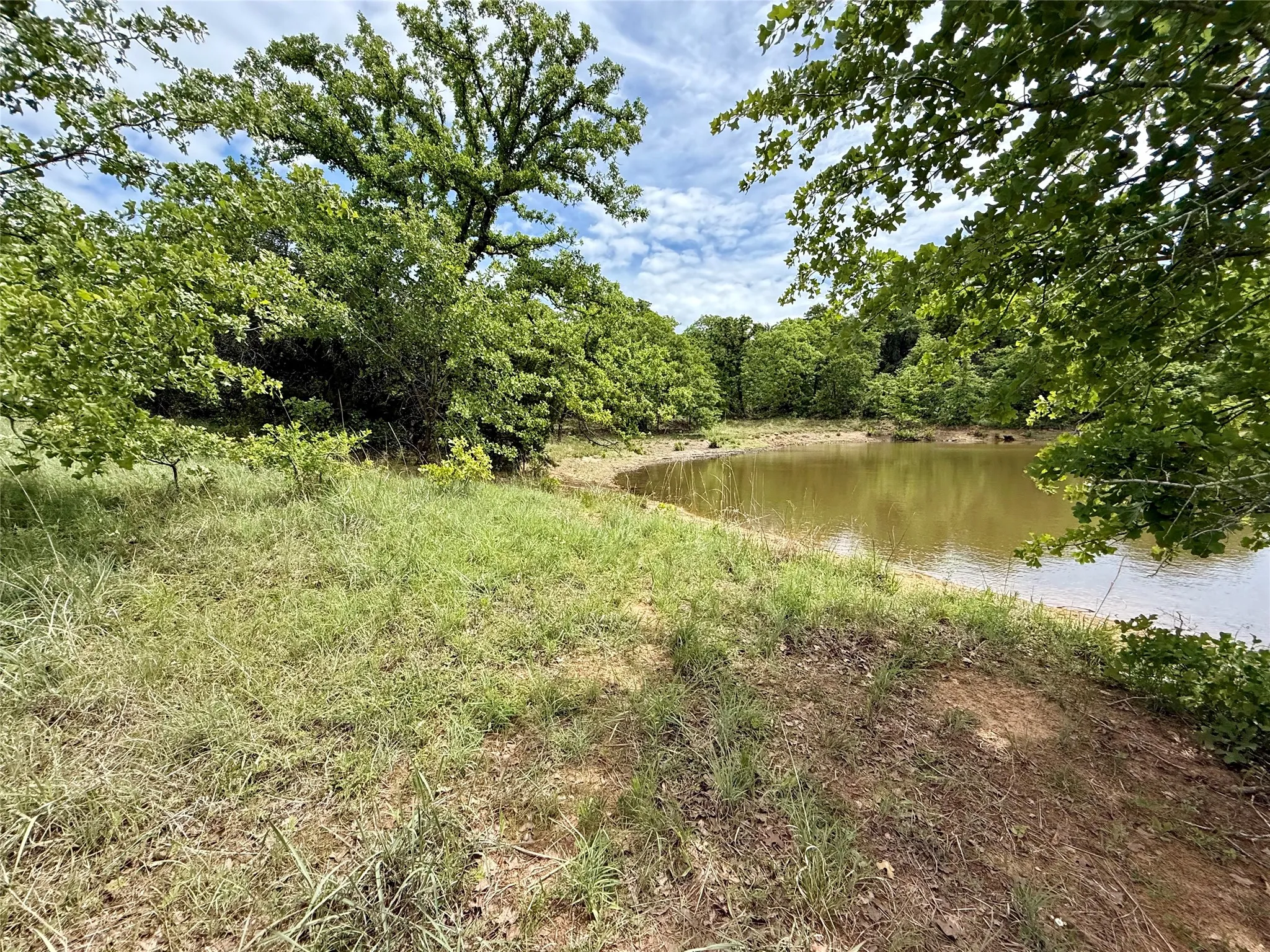 Unimproved Land For Sale in Jack County , 214.68 acres E Truce Road, Bowie, Texas 76431, 0, 0, Garage spaces, 0 Sqft, built in 0, Price $1,600,000, mls#21250972, Real Estate Agent in Bowie, Homes For Sale in Jack county, Homes For Sale in Bowie, Realtor in Bowie Texas, Real Estate Brokerage Independent Realty Texas, Luminita Cordes Realtor