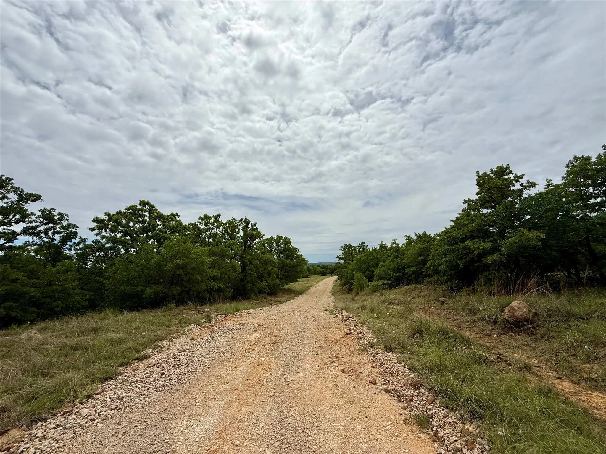 Unimproved Land For Sale in Jack County , 214.68 acres E Truce Road, Bowie, Texas 76431, 0, 0, Garage spaces, 0 Sqft, built in 0, Price $1,600,000, mls#21250972, Real Estate Agent in Bowie, Homes For Sale in Jack county, Homes For Sale in Bowie, Realtor in Bowie Texas, Real Estate Brokerage Independent Realty Texas, Luminita Cordes Realtor