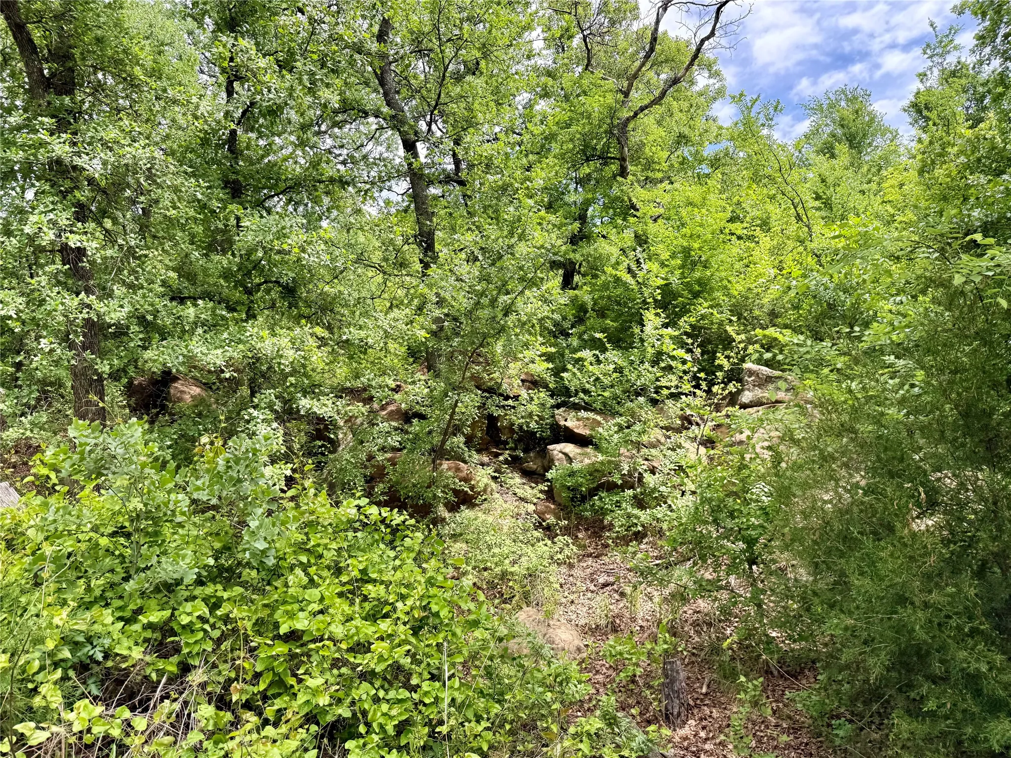 Unimproved Land For Sale in Jack County , 214.68 acres E Truce Road, Bowie, Texas 76431, 0, 0, Garage spaces, 0 Sqft, built in 0, Price $1,600,000, mls#21250972, Real Estate Agent in Bowie, Homes For Sale in Jack county, Homes For Sale in Bowie, Realtor in Bowie Texas, Real Estate Brokerage Independent Realty Texas, Luminita Cordes Realtor
