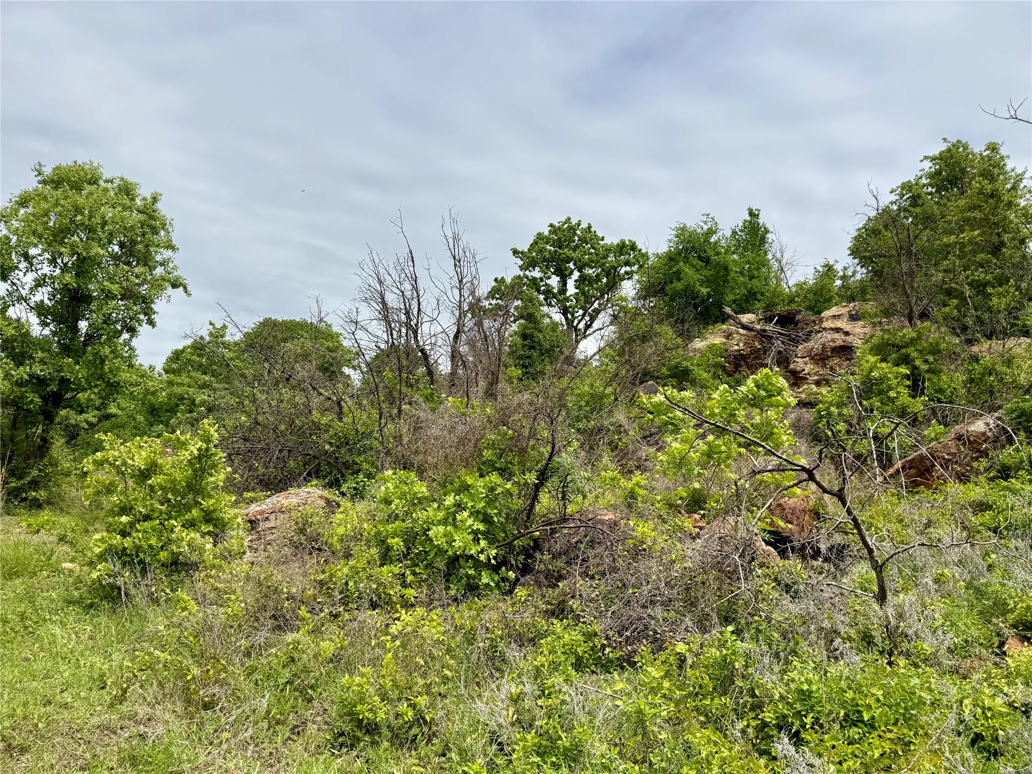 Unimproved Land For Sale in Jack County , 214.68 acres E Truce Road, Bowie, Texas 76431, 0, 0, Garage spaces, 0 Sqft, built in 0, Price $1,600,000, mls#21250972, Real Estate Agent in Bowie, Homes For Sale in Jack county, Homes For Sale in Bowie, Realtor in Bowie Texas, Real Estate Brokerage Independent Realty Texas, Luminita Cordes Realtor