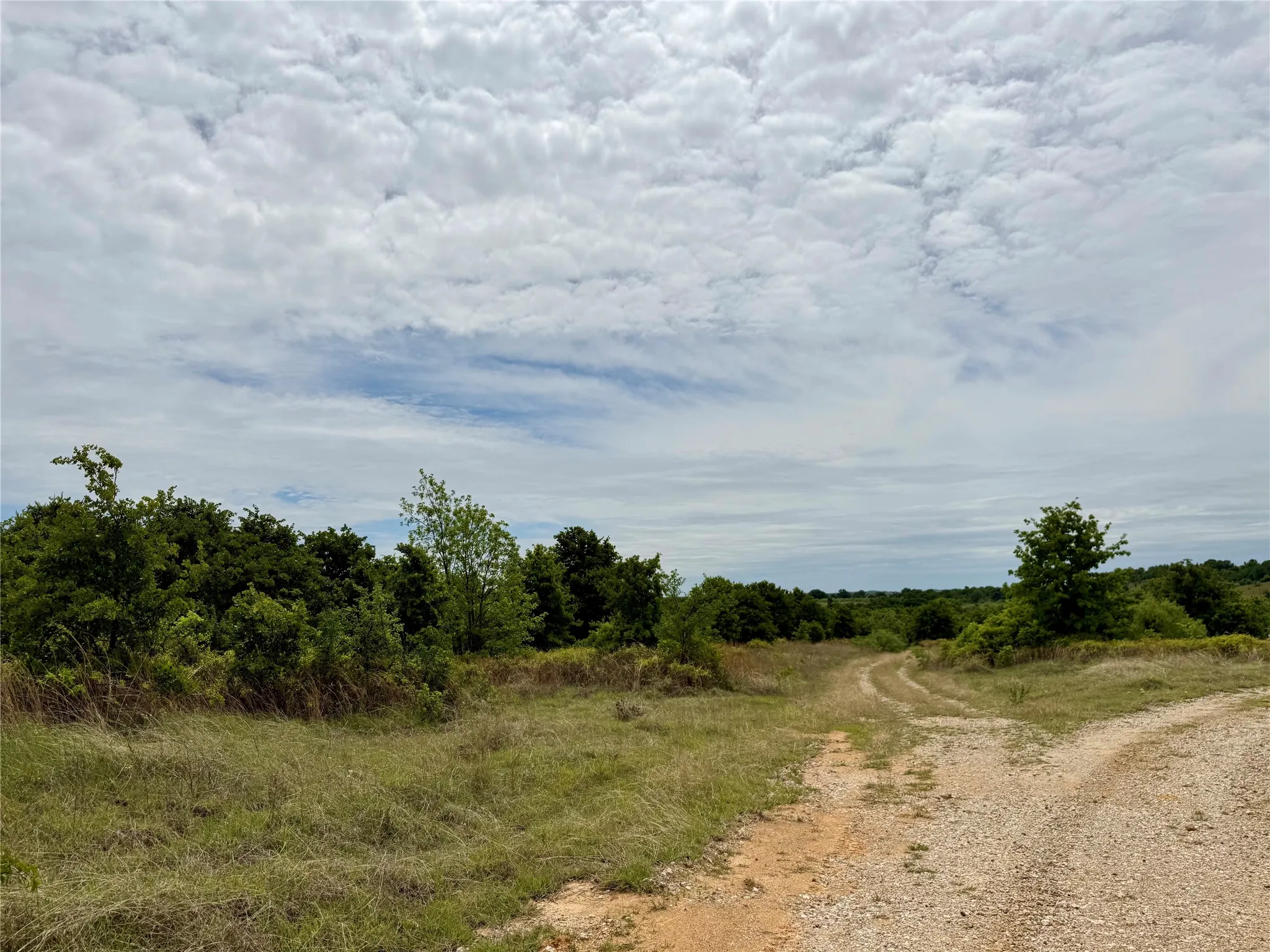 Unimproved Land For Sale in Jack County , 214.68 acres E Truce Road, Bowie, Texas 76431, 0, 0, Garage spaces, 0 Sqft, built in 0, Price $1,600,000, mls#21250972, Real Estate Agent in Bowie, Homes For Sale in Jack county, Homes For Sale in Bowie, Realtor in Bowie Texas, Real Estate Brokerage Independent Realty Texas, Luminita Cordes Realtor