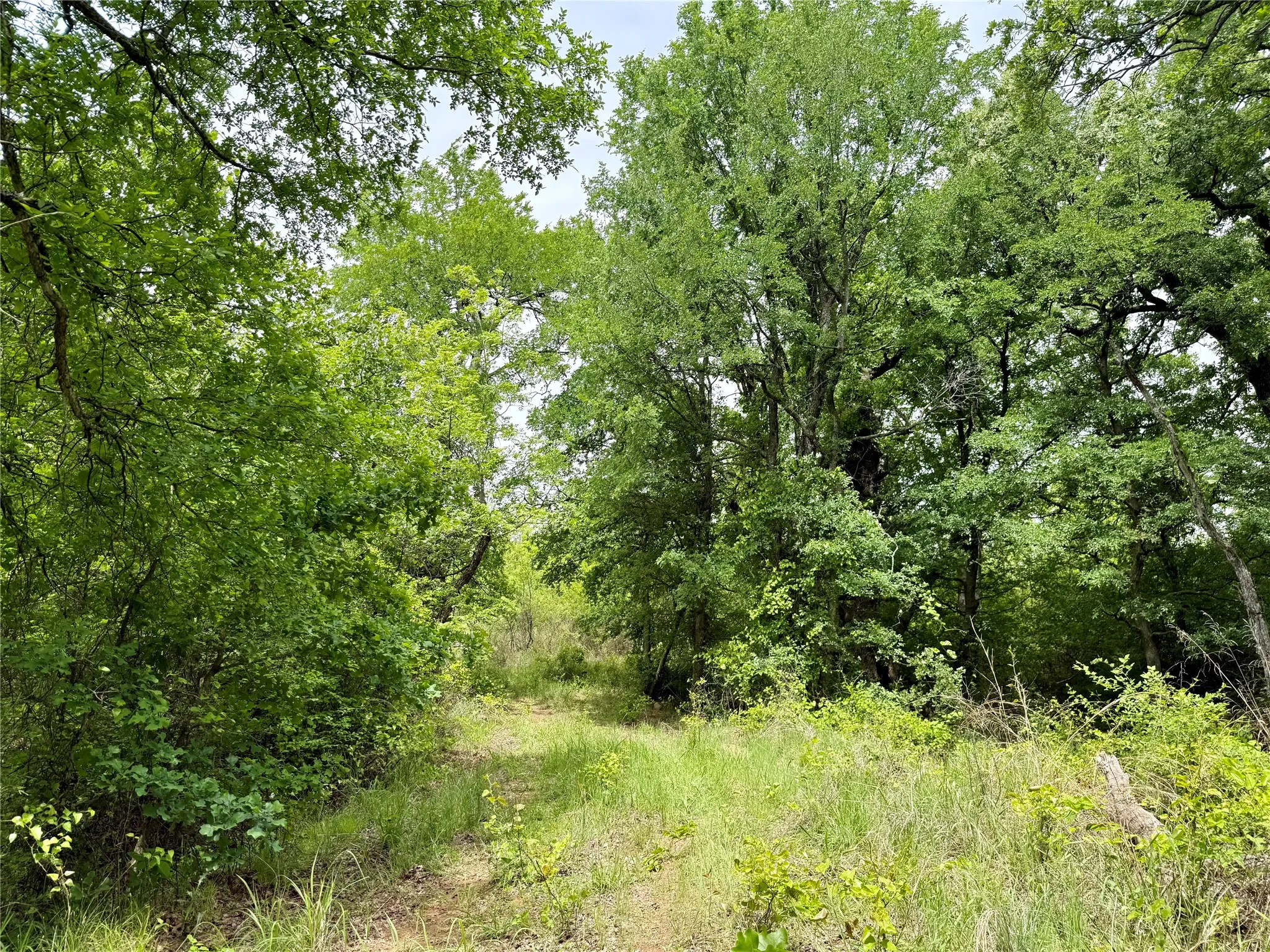 Unimproved Land For Sale in Jack County , 214.68 acres E Truce Road, Bowie, Texas 76431, 0, 0, Garage spaces, 0 Sqft, built in 0, Price $1,600,000, mls#21250972, Real Estate Agent in Bowie, Homes For Sale in Jack county, Homes For Sale in Bowie, Realtor in Bowie Texas, Real Estate Brokerage Independent Realty Texas, Luminita Cordes Realtor