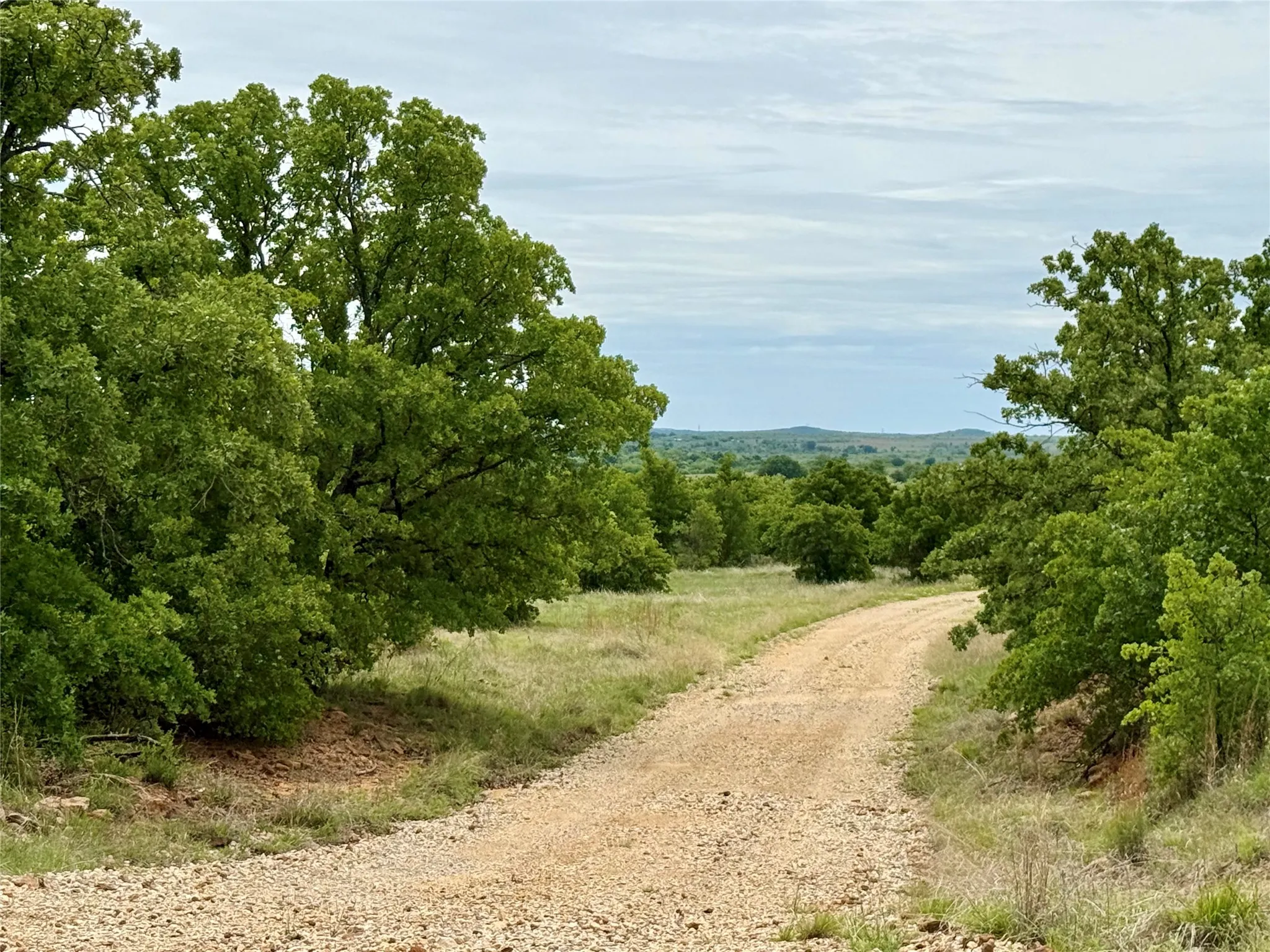 Unimproved Land For Sale in Jack County , 214.68 acres E Truce Road, Bowie, Texas 76431, 0, 0, Garage spaces, 0 Sqft, built in 0, Price $1,600,000, mls#21250972, Real Estate Agent in Bowie, Homes For Sale in Jack county, Homes For Sale in Bowie, Realtor in Bowie Texas, Real Estate Brokerage Independent Realty Texas, Luminita Cordes Realtor