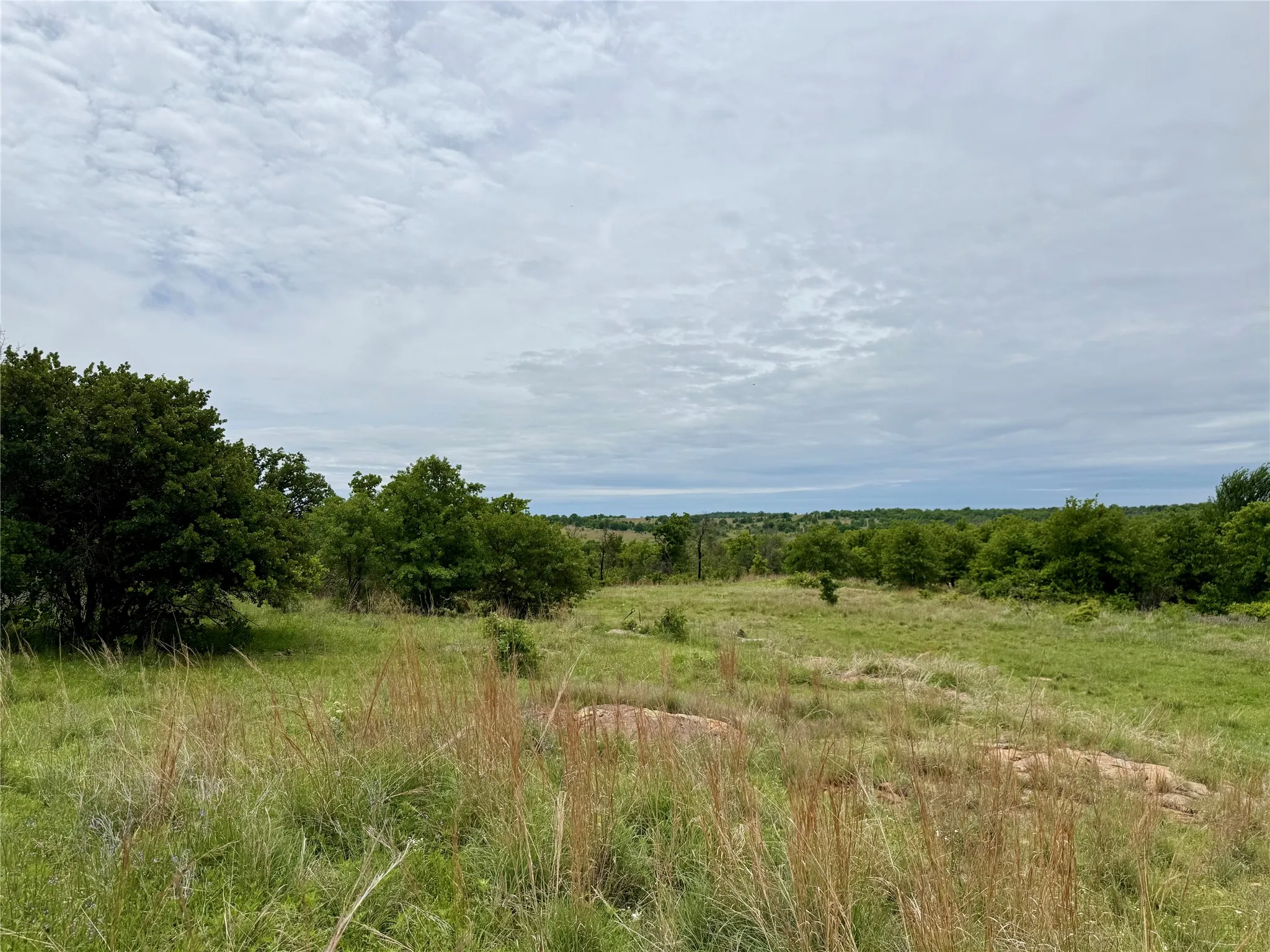 Unimproved Land For Sale in Jack County , 214.68 acres E Truce Road, Bowie, Texas 76431, 0, 0, Garage spaces, 0 Sqft, built in 0, Price $1,600,000, mls#21250972, Real Estate Agent in Bowie, Homes For Sale in Jack county, Homes For Sale in Bowie, Realtor in Bowie Texas, Real Estate Brokerage Independent Realty Texas, Luminita Cordes Realtor