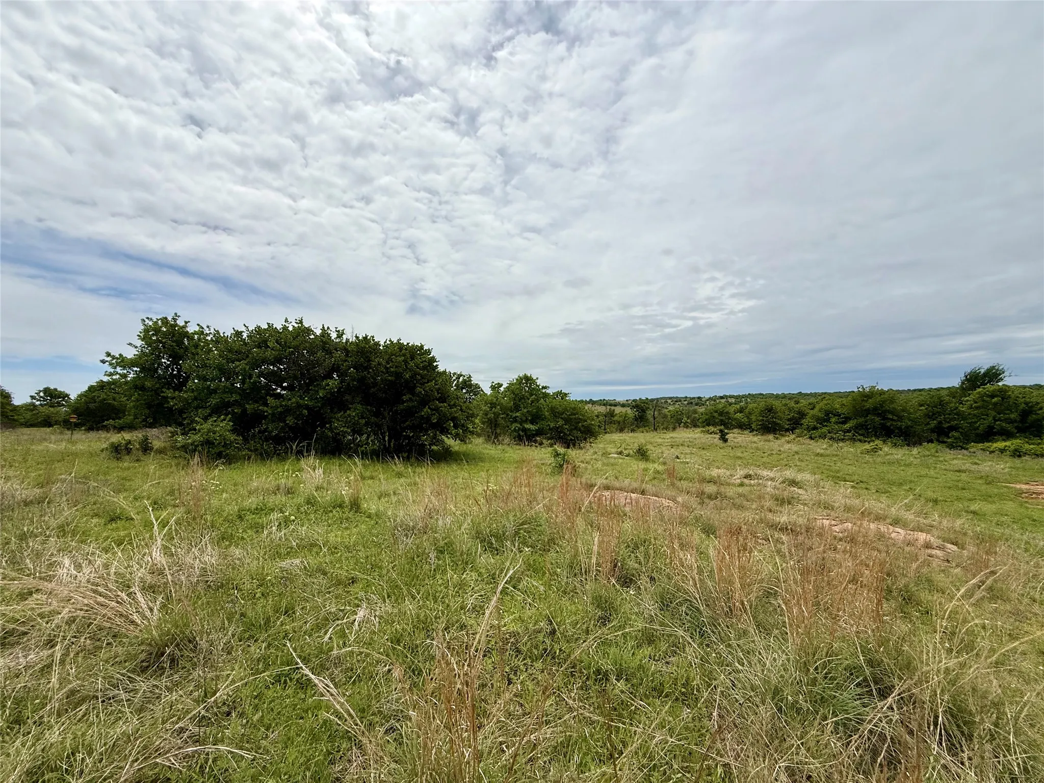 Unimproved Land For Sale in Jack County , 214.68 acres E Truce Road, Bowie, Texas 76431, 0, 0, Garage spaces, 0 Sqft, built in 0, Price $1,600,000, mls#21250972, Real Estate Agent in Bowie, Homes For Sale in Jack county, Homes For Sale in Bowie, Realtor in Bowie Texas, Real Estate Brokerage Independent Realty Texas, Luminita Cordes Realtor
