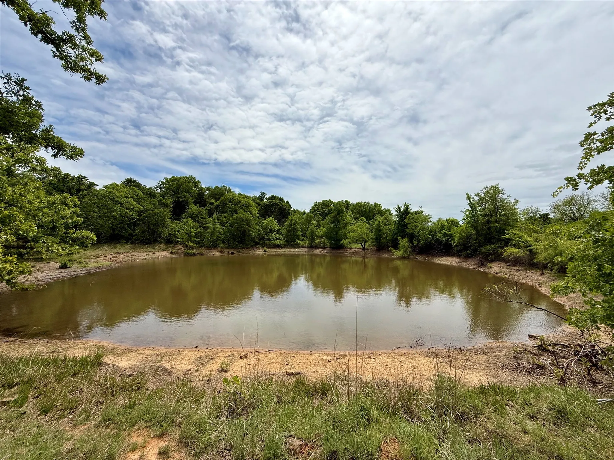 Unimproved Land For Sale in Jack County , 214.68 acres E Truce Road, Bowie, Texas 76431, 0, 0, Garage spaces, 0 Sqft, built in 0, Price $1,600,000, mls#21250972, Real Estate Agent in Bowie, Homes For Sale in Jack county, Homes For Sale in Bowie, Realtor in Bowie Texas, Real Estate Brokerage Independent Realty Texas, Luminita Cordes Realtor