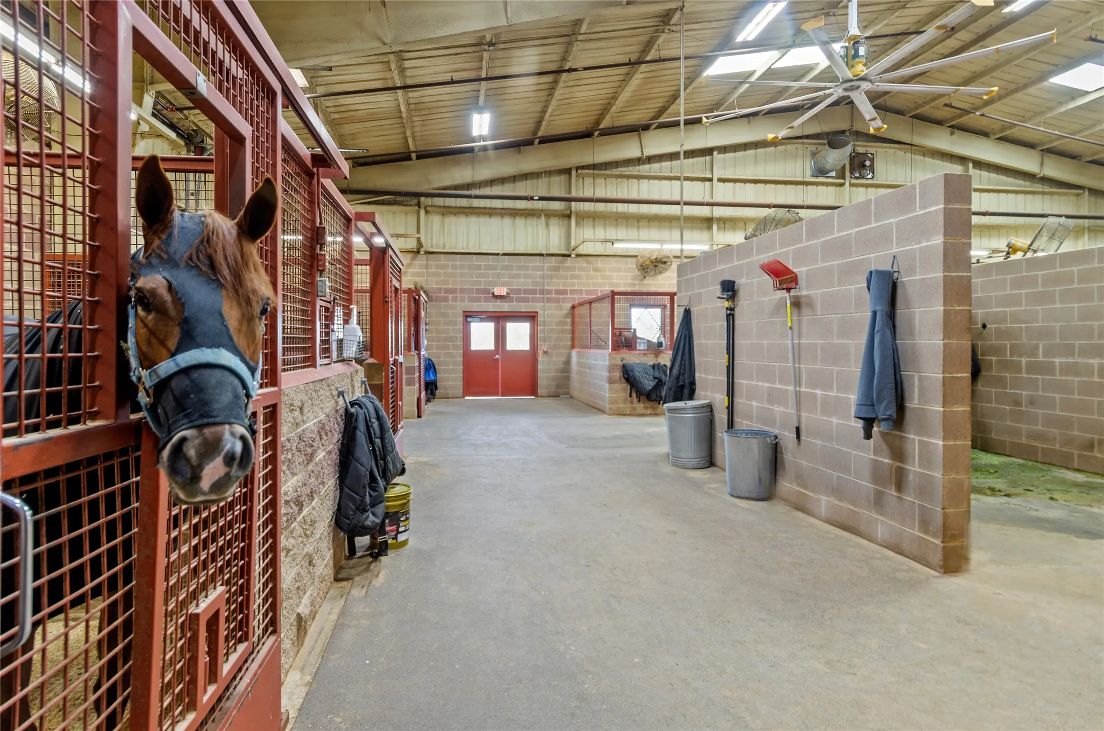 View of horse barn