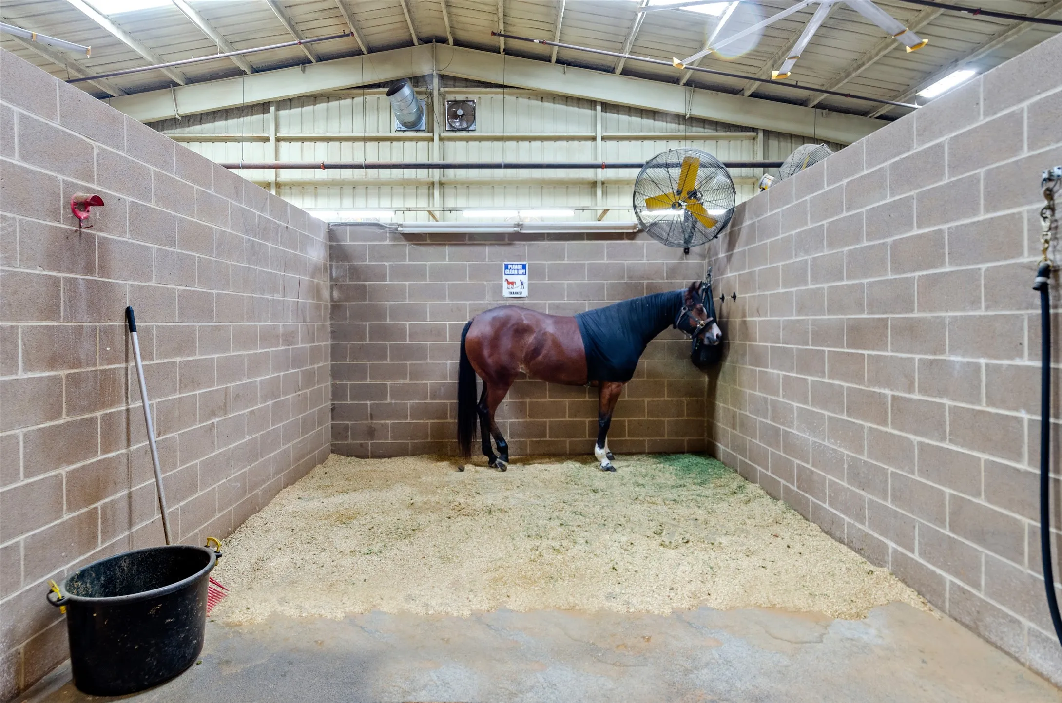 View of stable