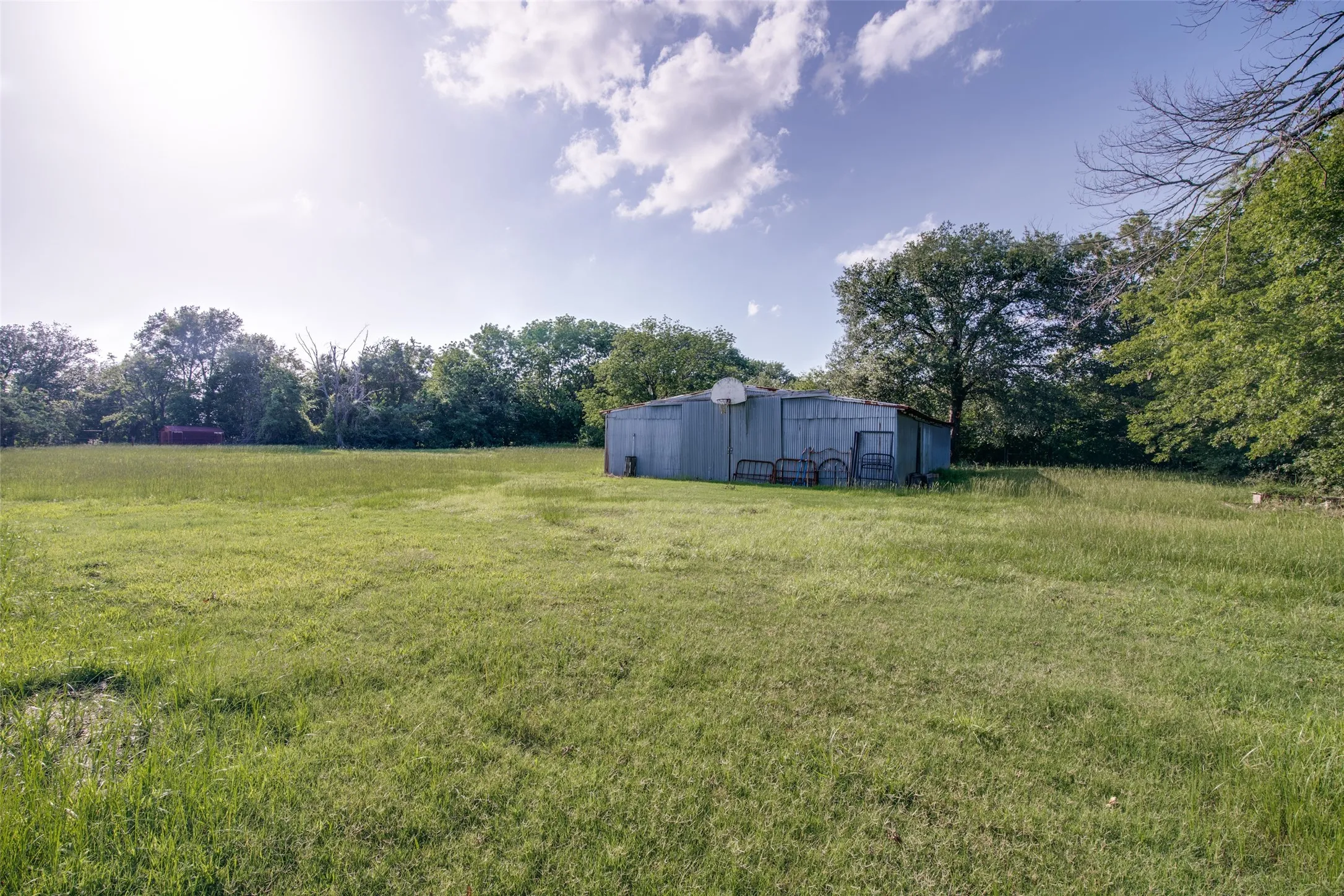 Expansive grassy area featuring a metal utility shed with a basketball hoop, surrounded by mature trees