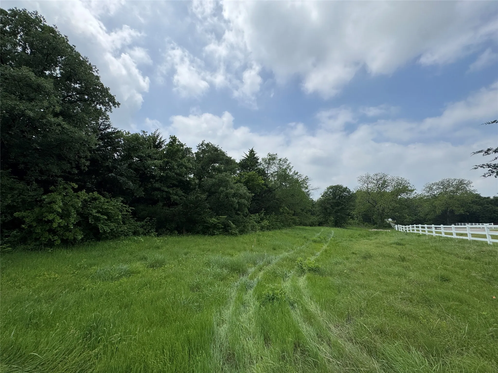 Unimproved Land For Sale in Cooke County , 210 County Road 1264, Whitesboro, Texas 76273, 0, 0, Garage spaces, 0 Sqft, built in 0, Price $174,000, mls#21251190, Real Estate Agent in Whitesboro, Homes For Sale in Cooke county, Homes For Sale in Whitesboro, Realtor in Whitesboro Texas, Real Estate Brokerage Independent Realty Texas, Luminita Cordes Realtor