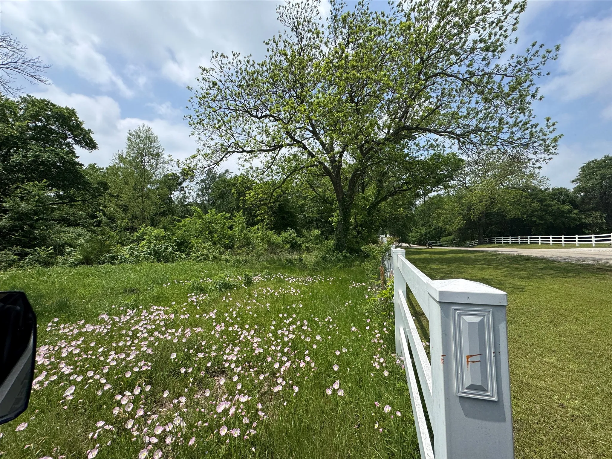 Unimproved Land For Sale in Cooke County , 210 County Road 1264, Whitesboro, Texas 76273, 0, 0, Garage spaces, 0 Sqft, built in 0, Price $174,000, mls#21251190, Real Estate Agent in Whitesboro, Homes For Sale in Cooke county, Homes For Sale in Whitesboro, Realtor in Whitesboro Texas, Real Estate Brokerage Independent Realty Texas, Luminita Cordes Realtor