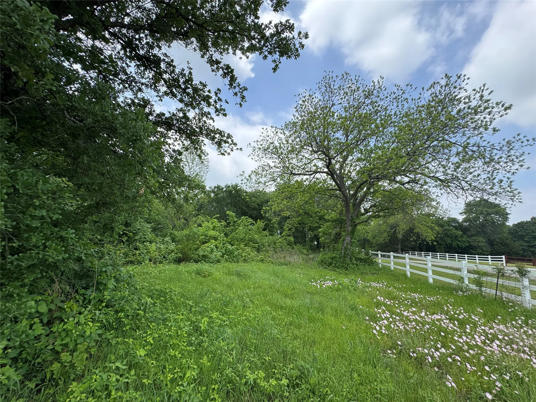 Unimproved Land For Sale in Cooke County , 210 County Road 1264, Whitesboro, Texas 76273, 0, 0, Garage spaces, 0 Sqft, built in 0, Price $174,000, mls#21251190, Real Estate Agent in Whitesboro, Homes For Sale in Cooke county, Homes For Sale in Whitesboro, Realtor in Whitesboro Texas, Real Estate Brokerage Independent Realty Texas, Luminita Cordes Realtor