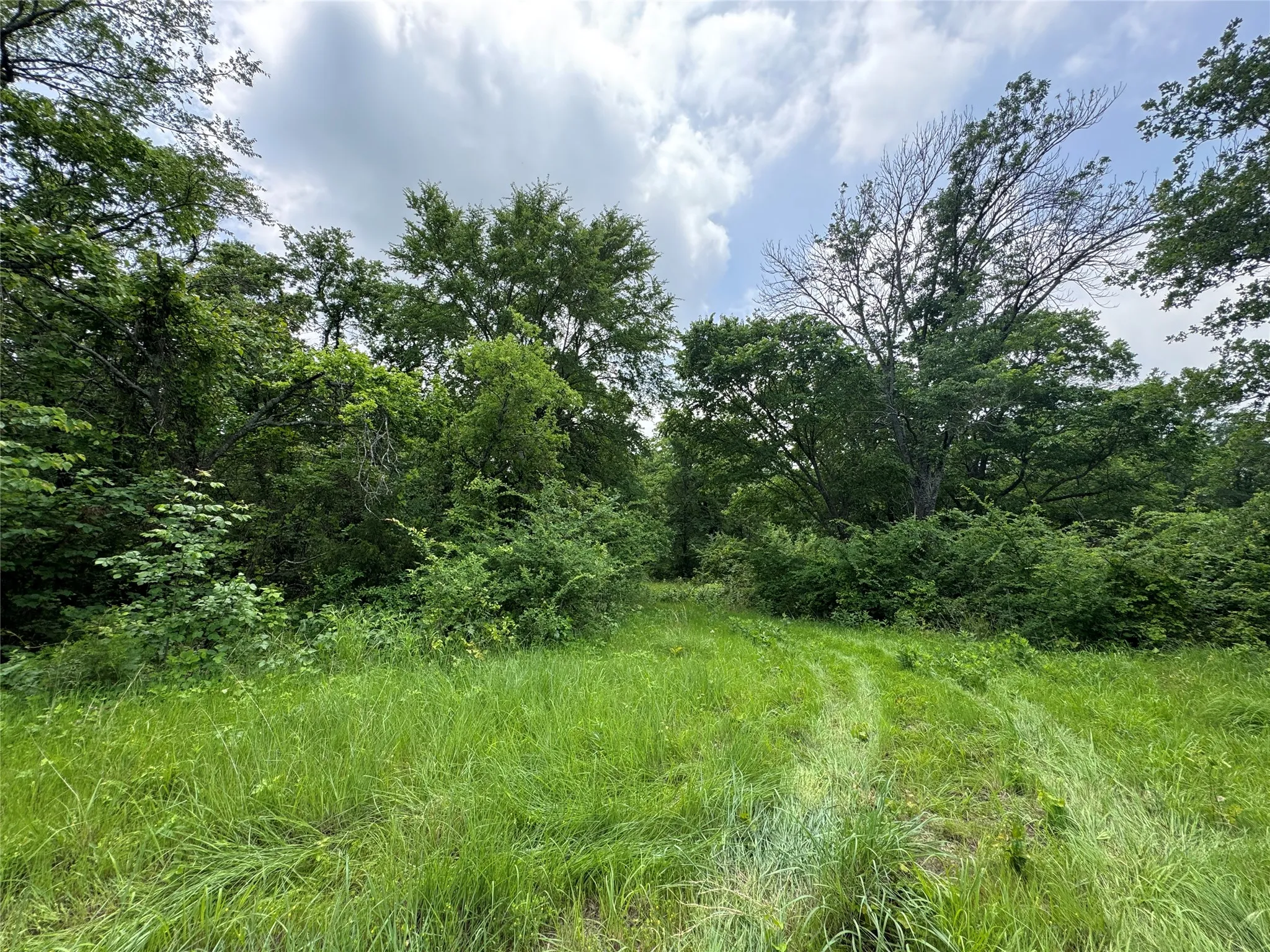 Unimproved Land For Sale in Cooke County , 210 County Road 1264, Whitesboro, Texas 76273, 0, 0, Garage spaces, 0 Sqft, built in 0, Price $174,000, mls#21251190, Real Estate Agent in Whitesboro, Homes For Sale in Cooke county, Homes For Sale in Whitesboro, Realtor in Whitesboro Texas, Real Estate Brokerage Independent Realty Texas, Luminita Cordes Realtor