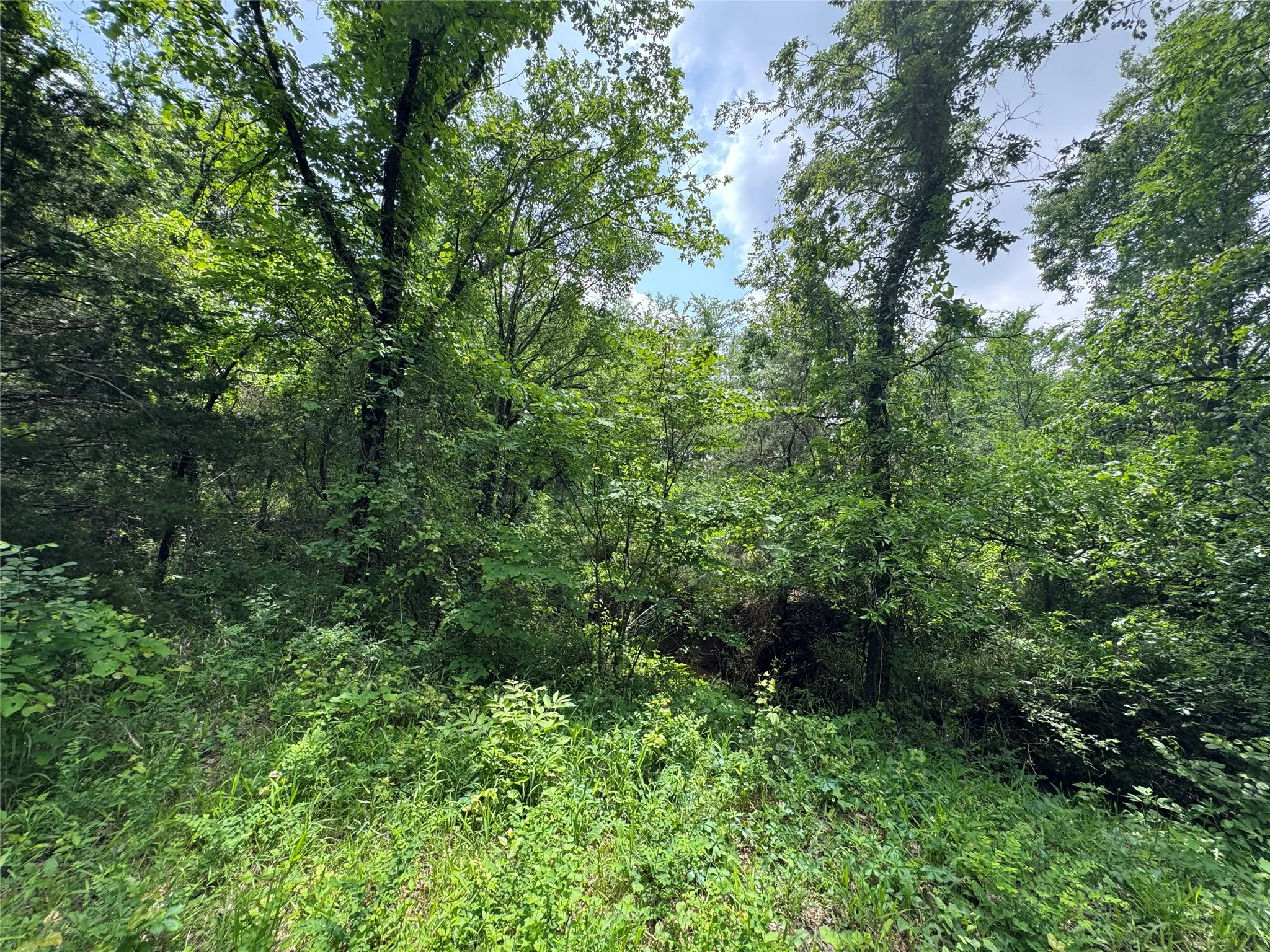 Unimproved Land For Sale in Cooke County , 210 County Road 1264, Whitesboro, Texas 76273, 0, 0, Garage spaces, 0 Sqft, built in 0, Price $174,000, mls#21251190, Real Estate Agent in Whitesboro, Homes For Sale in Cooke county, Homes For Sale in Whitesboro, Realtor in Whitesboro Texas, Real Estate Brokerage Independent Realty Texas, Luminita Cordes Realtor