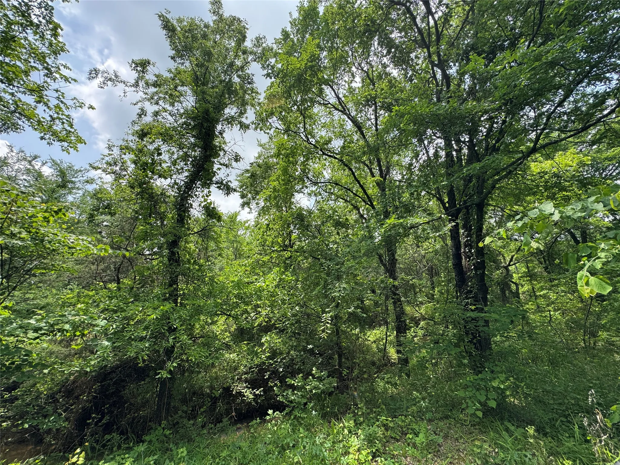 Unimproved Land For Sale in Cooke County , 210 County Road 1264, Whitesboro, Texas 76273, 0, 0, Garage spaces, 0 Sqft, built in 0, Price $174,000, mls#21251190, Real Estate Agent in Whitesboro, Homes For Sale in Cooke county, Homes For Sale in Whitesboro, Realtor in Whitesboro Texas, Real Estate Brokerage Independent Realty Texas, Luminita Cordes Realtor