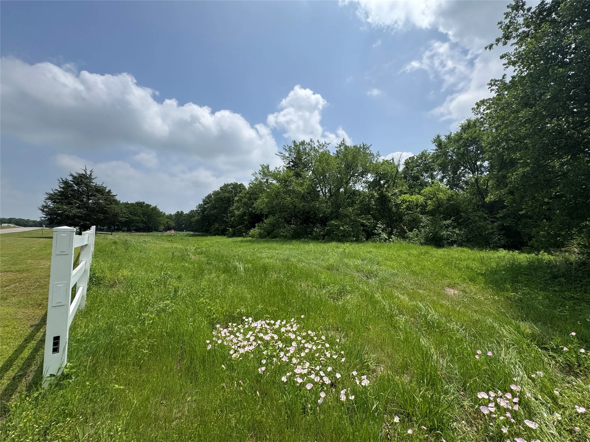 Unimproved Land For Sale in Cooke County , 210 County Road 1264, Whitesboro, Texas 76273, 0, 0, Garage spaces, 0 Sqft, built in 0, Price $174,000, mls#21251190, Real Estate Agent in Whitesboro, Homes For Sale in Cooke county, Homes For Sale in Whitesboro, Realtor in Whitesboro Texas, Real Estate Brokerage Independent Realty Texas, Luminita Cordes Realtor