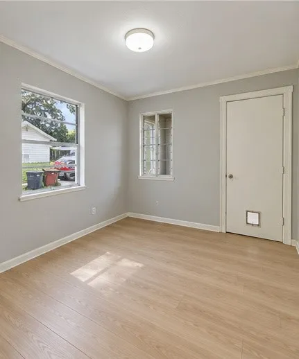 Light wood-finish flooring, neutral gray wall paint, and white trim