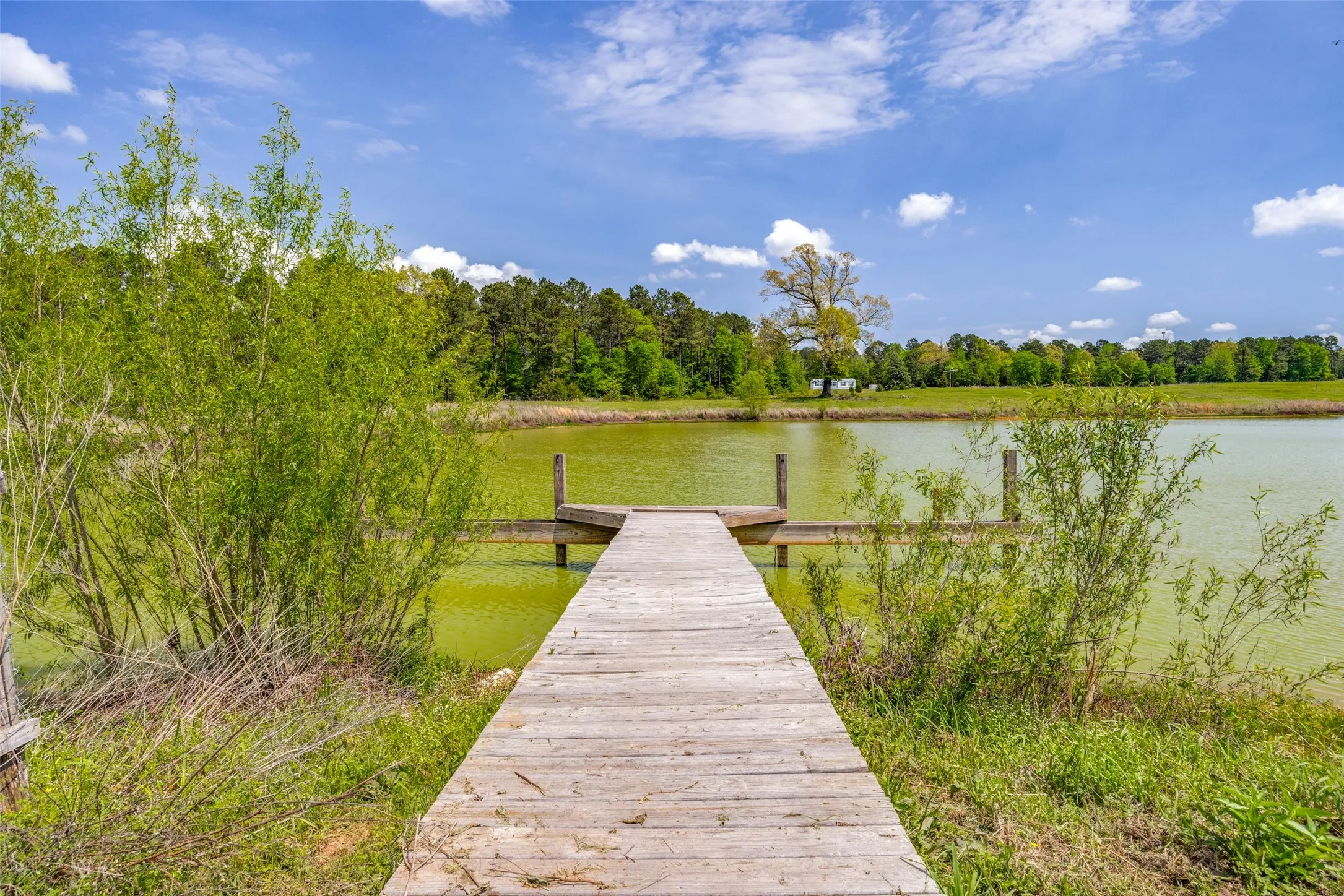 Dock for easy fishing on the pond.