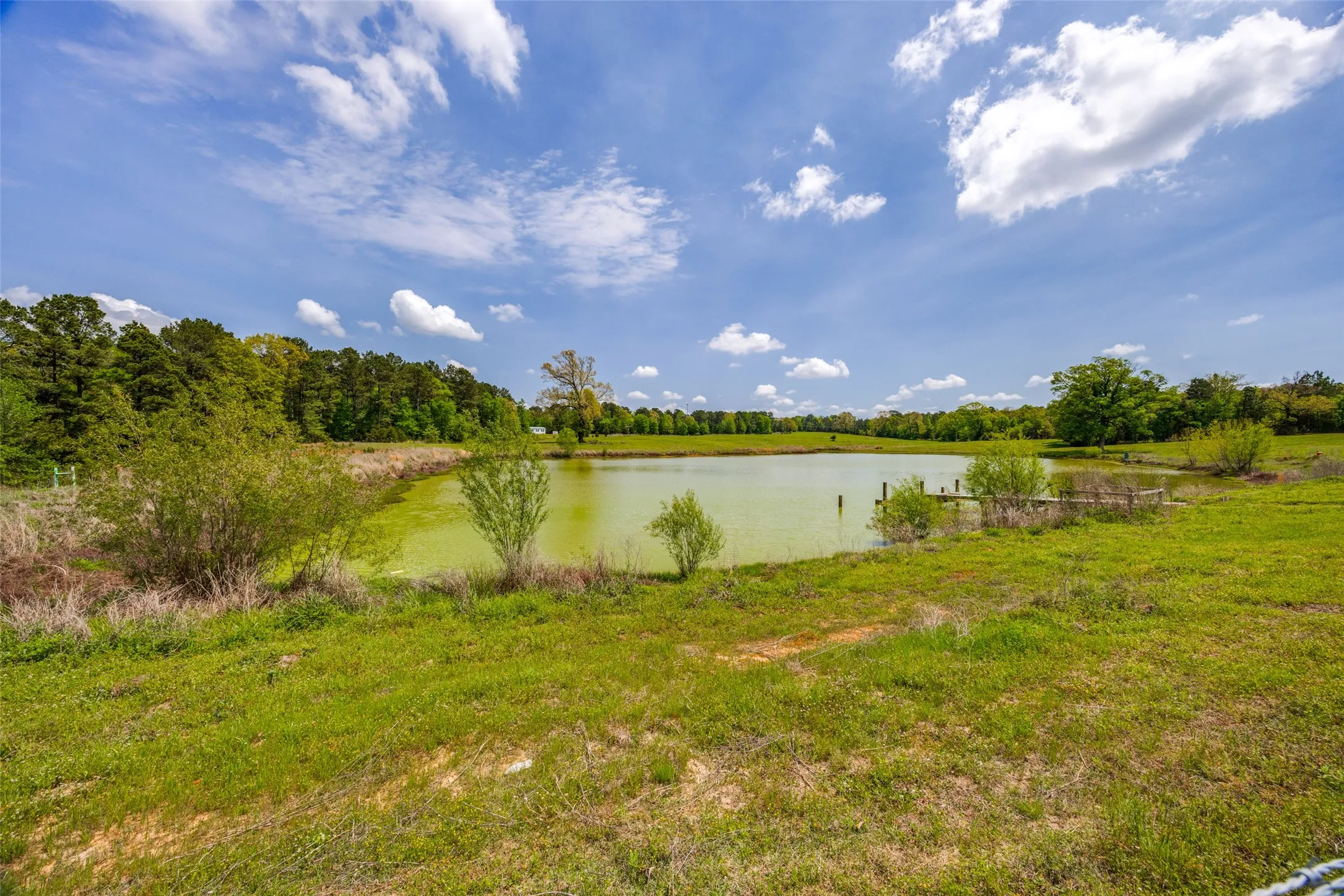 3 acre pond.