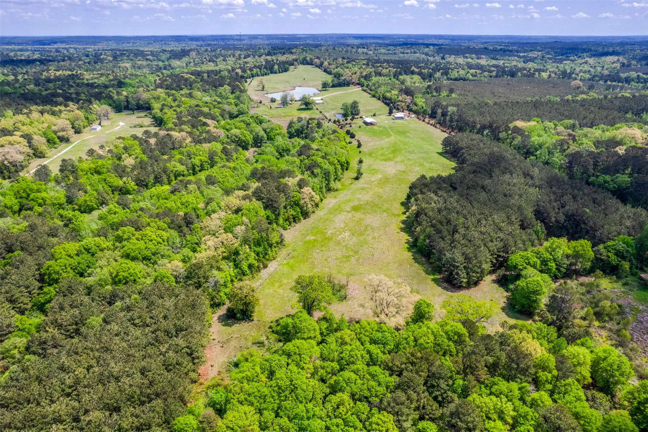 Overview of land with grazing and timer