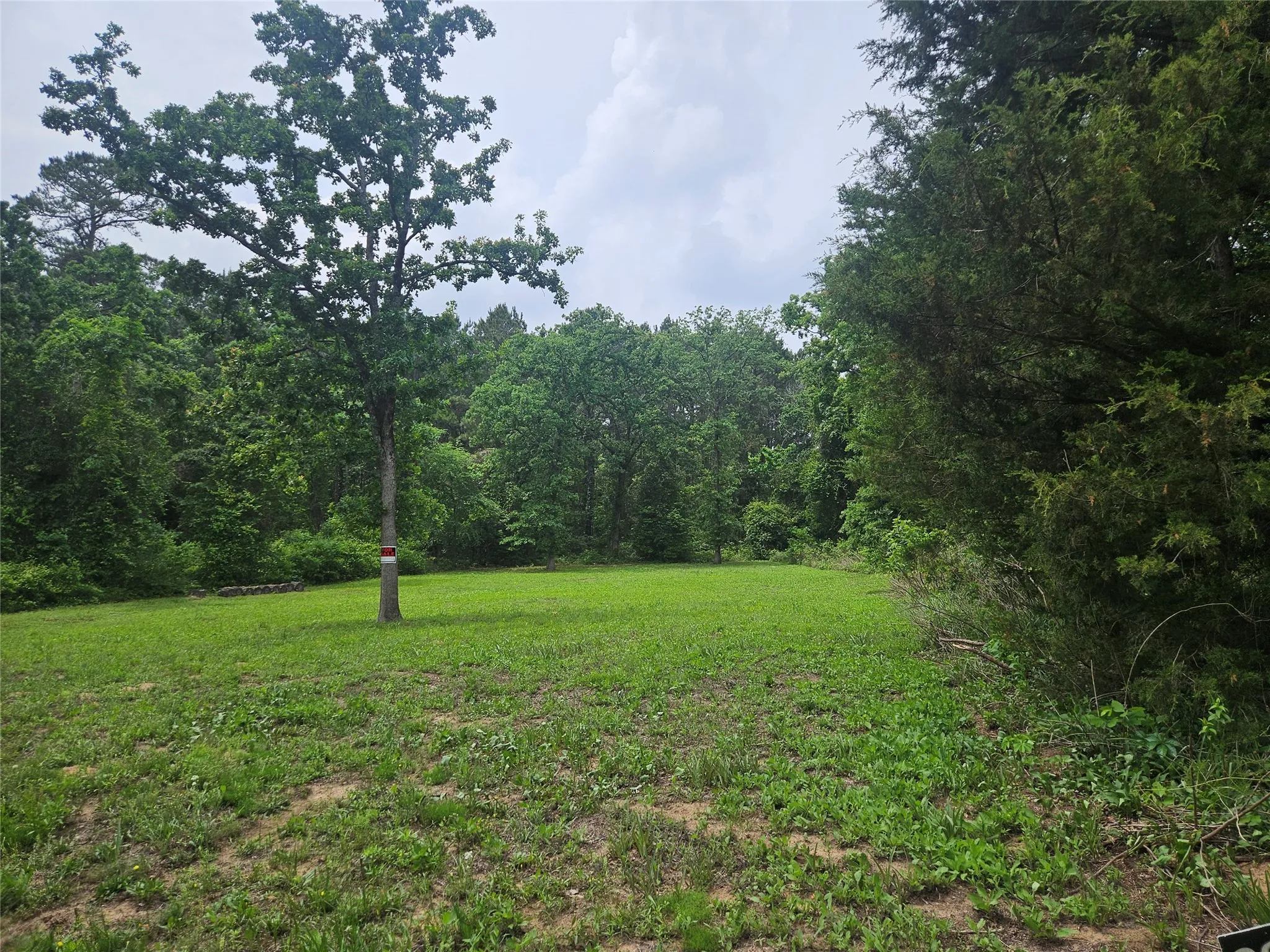 Unimproved Land For Sale in Cherokee County , 376 Elizabeth Drive, Bullard, Texas 75757, 0, 0, Garage spaces, 0 Sqft, built in 0, mls#21251377, Real Estate Agent in Bullard, Homes For Sale in Cherokee county, Homes For Sale in Bullard, Realtor in Bullard Texas, Real Estate Brokerage Independent Realty Texas, Luminita Cordes Realtor